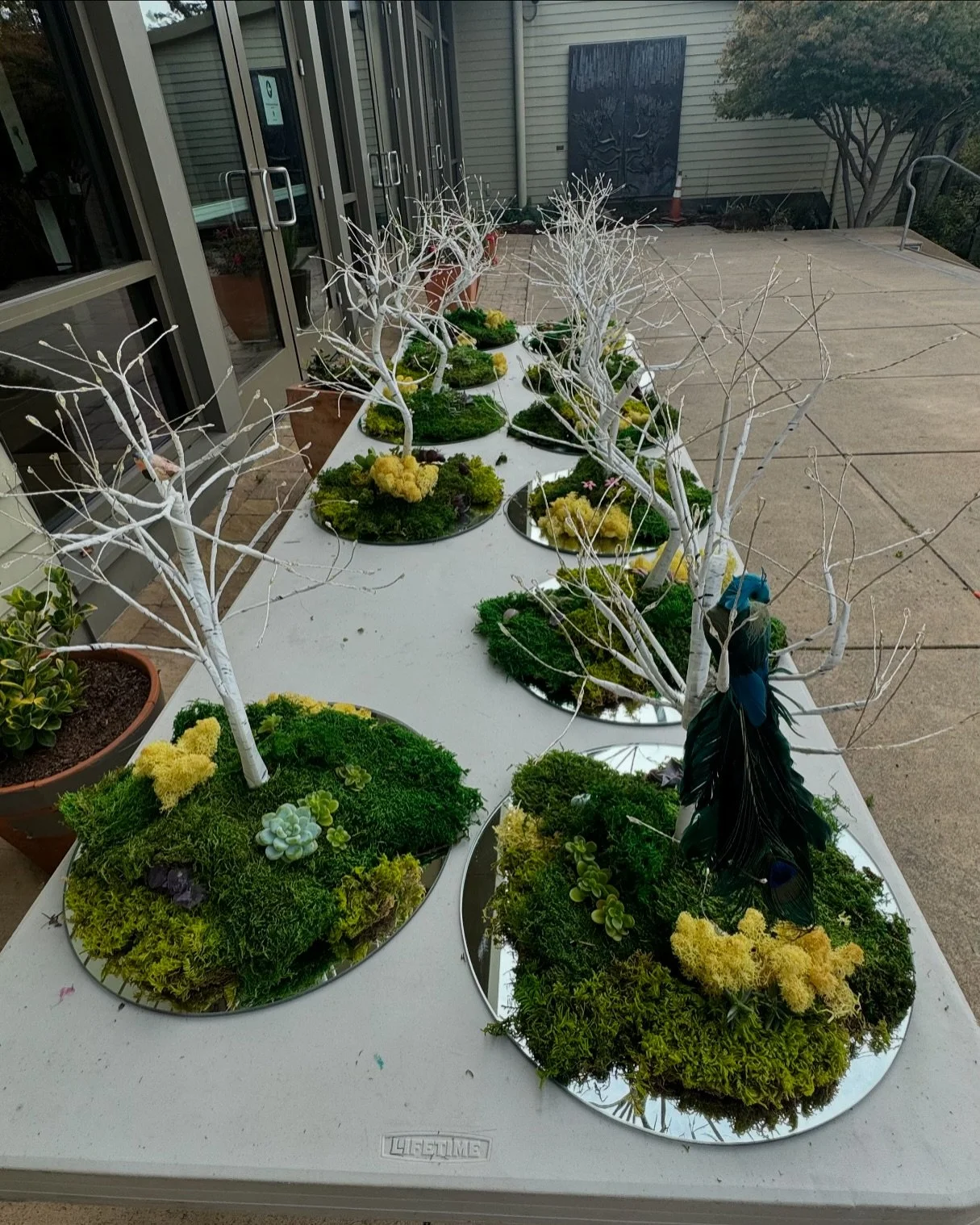 Centerpiece and floral design