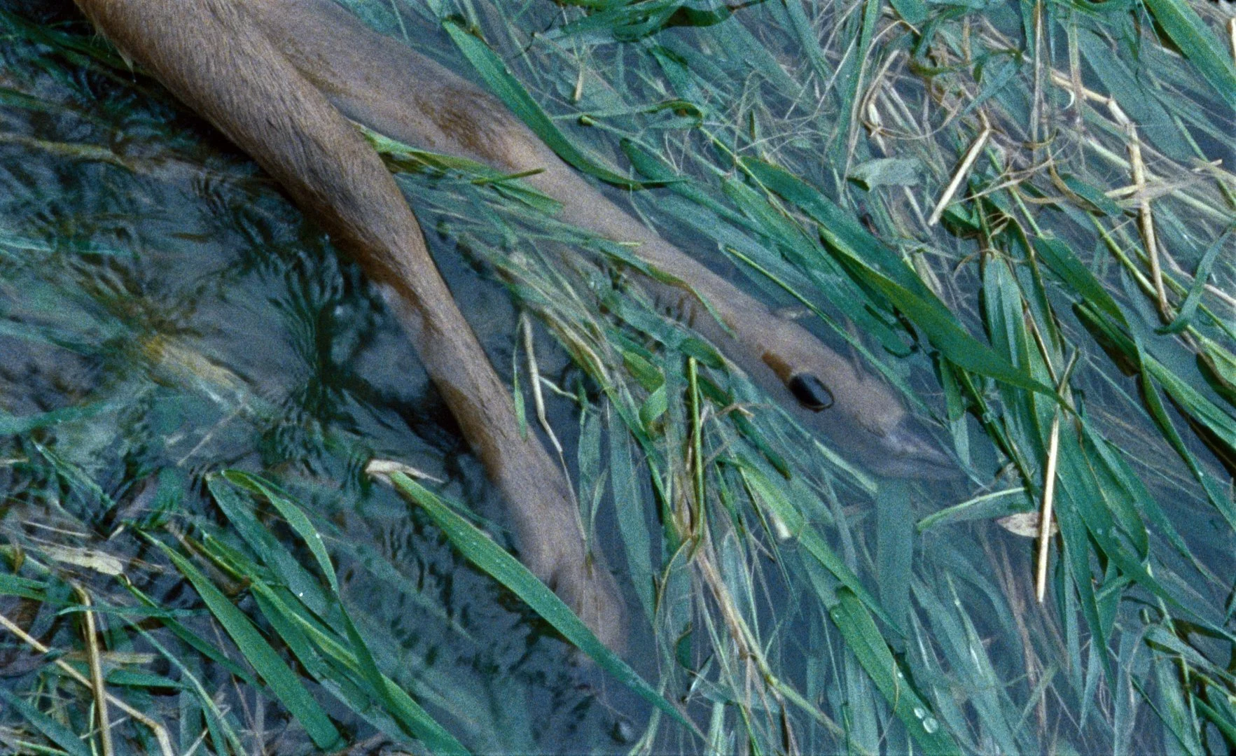 Untitled_1.1.21.JPG