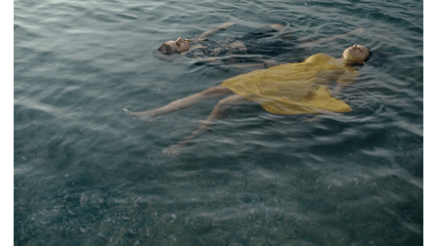 V1-0004_Compound Clip 4.gif