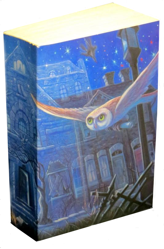 Harry Potter Collector Edition 8/" Figure Harry Potter New Sealed 2015 GM1951
