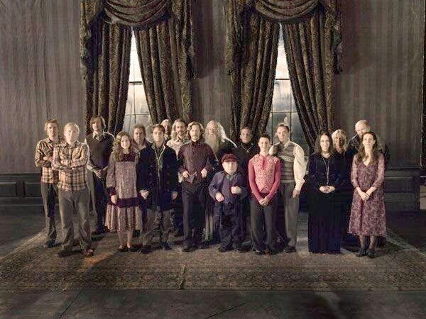 Harry Potter and the Order of the Phoenix Deleted and Unreleased Scenes —  Harry Potter Database