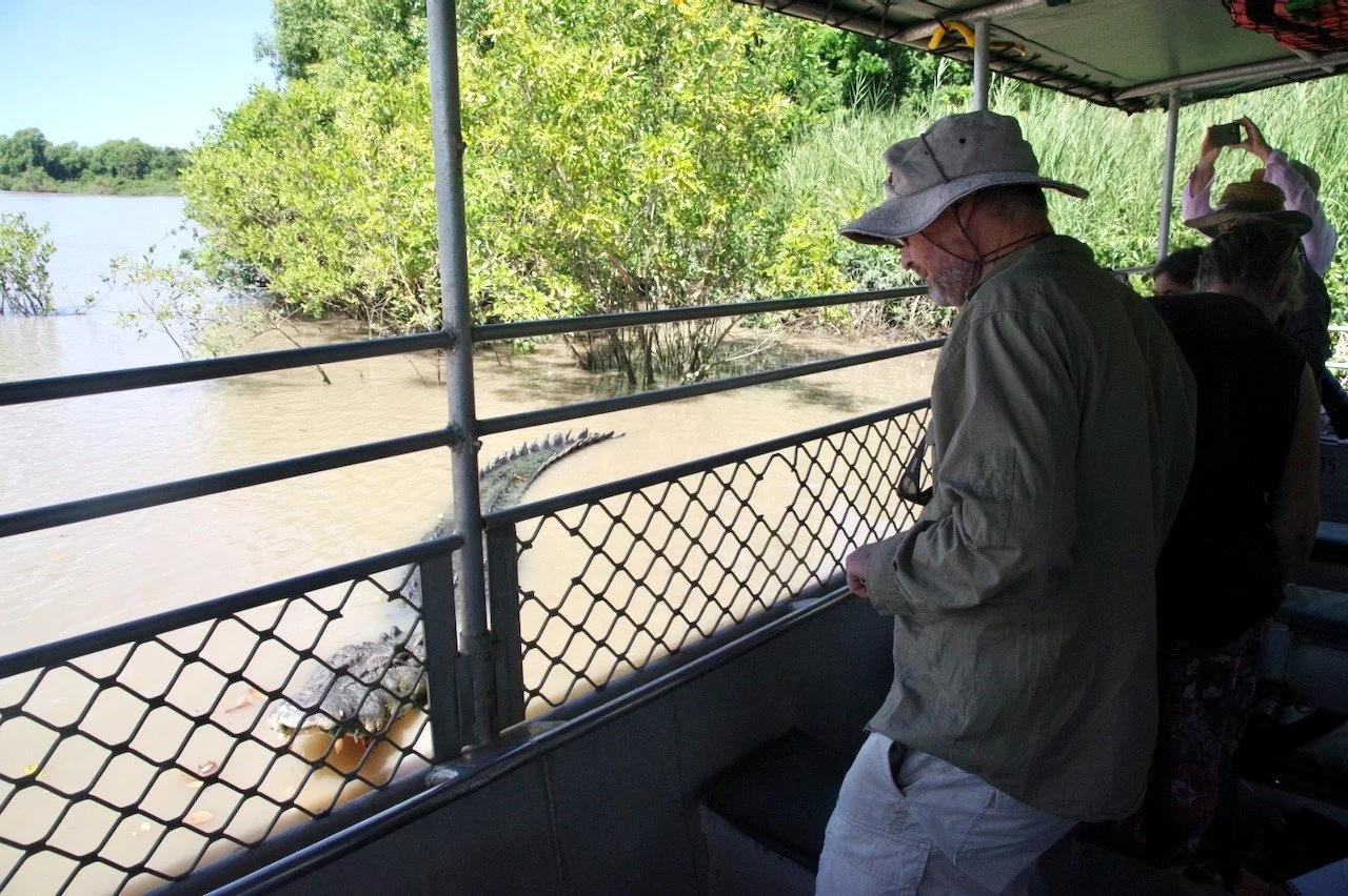 Entomologist, Glenn Bellis carefully watching a crocodile.