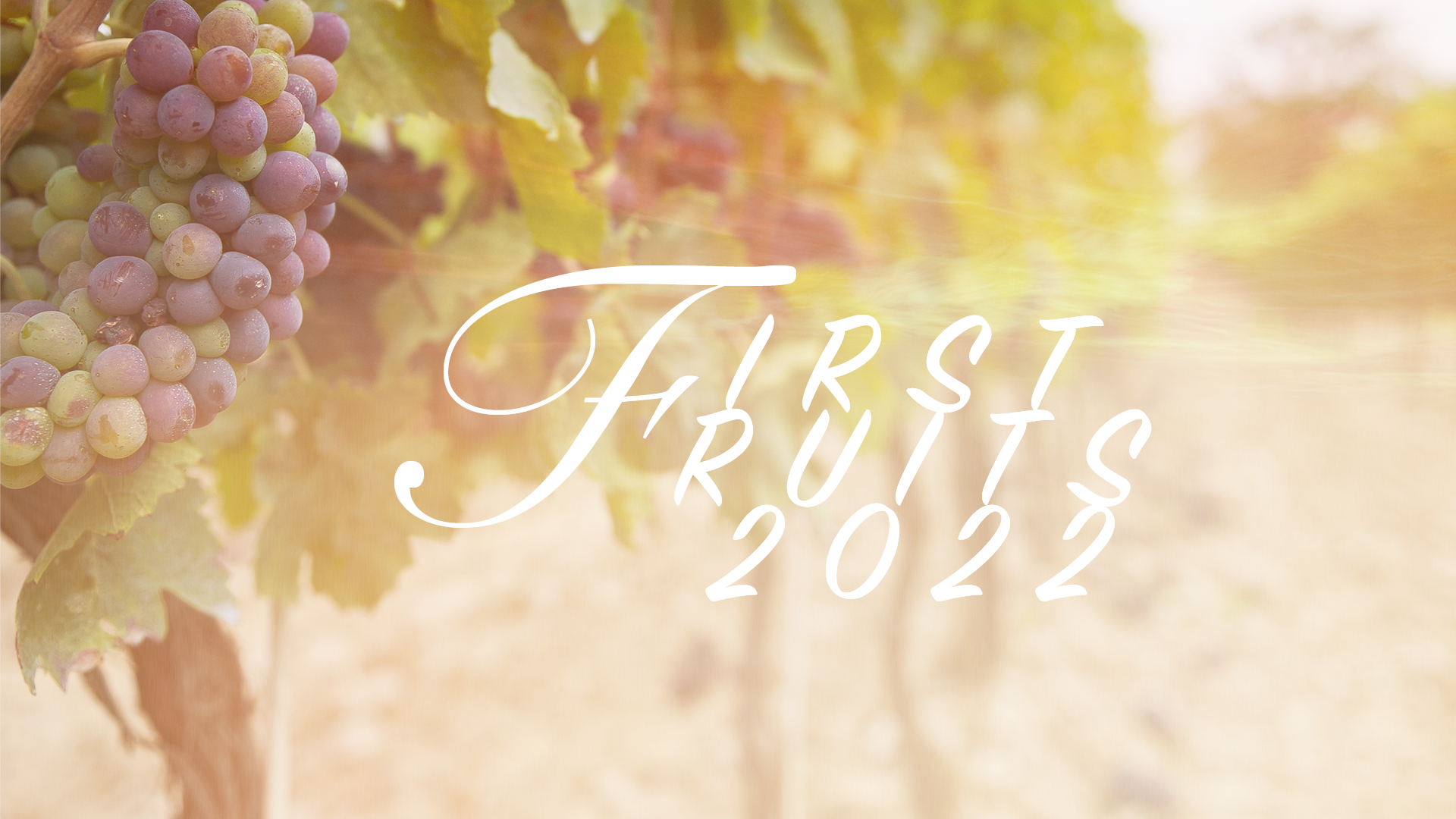 FIRSTFRUITS 2022-PSD.png