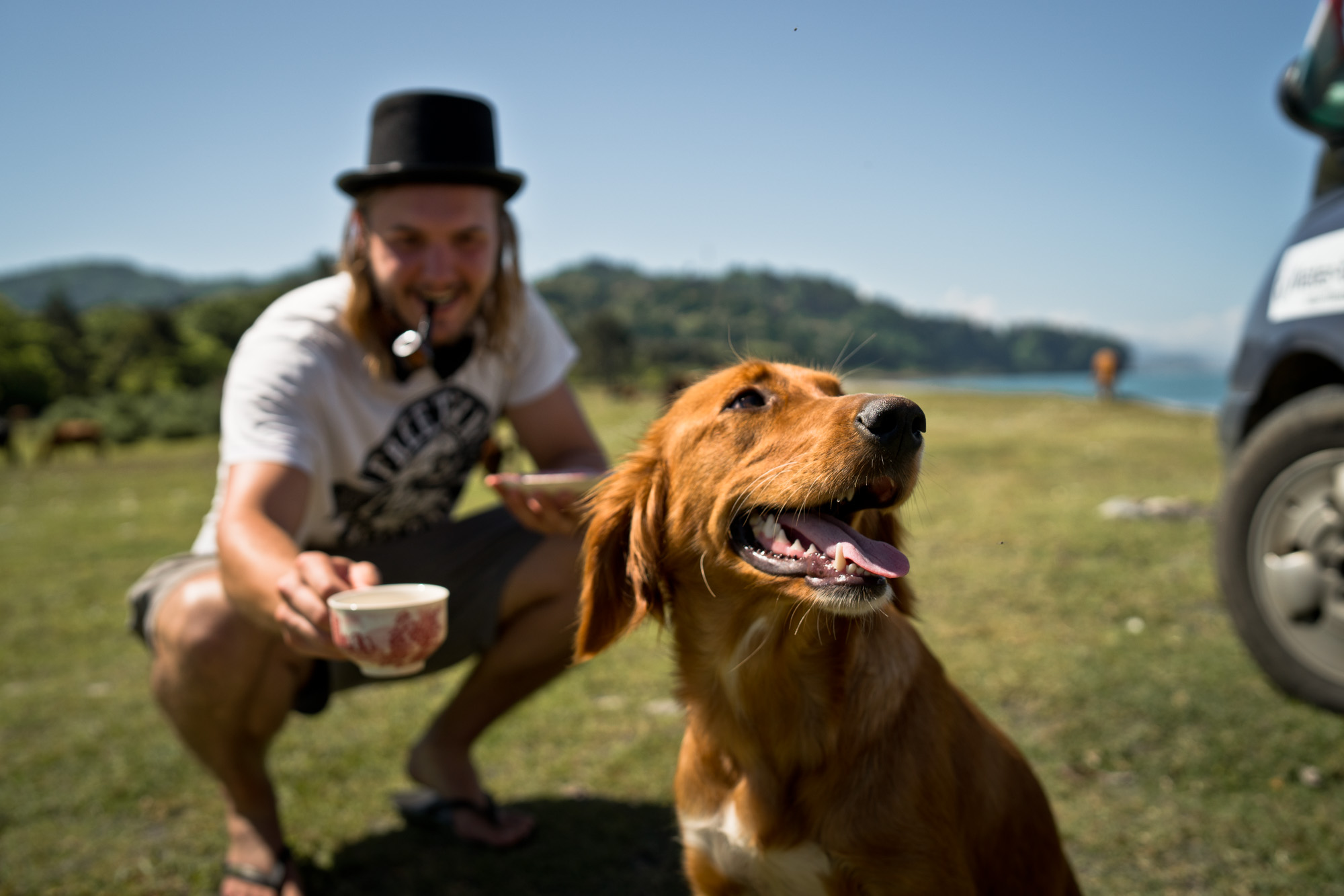 ...Having tea parties with stray Georgian dogs...