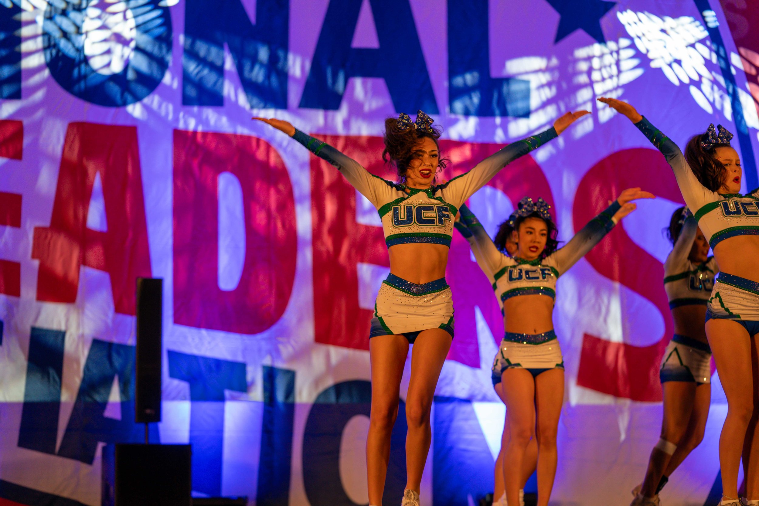 Black Ice NCA-03022.jpg