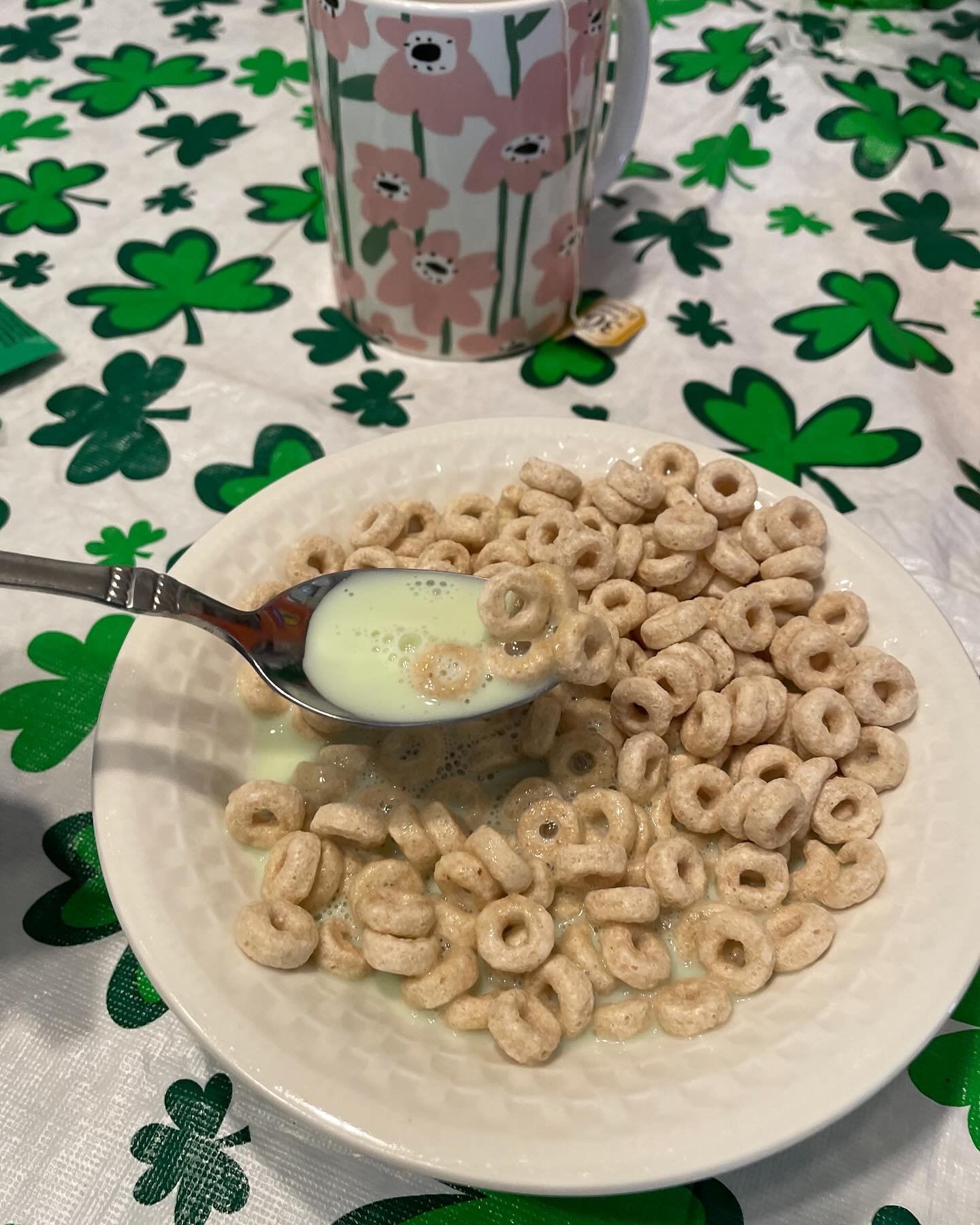 When you visit the right friend for St. Patrick&rsquo;s Day.