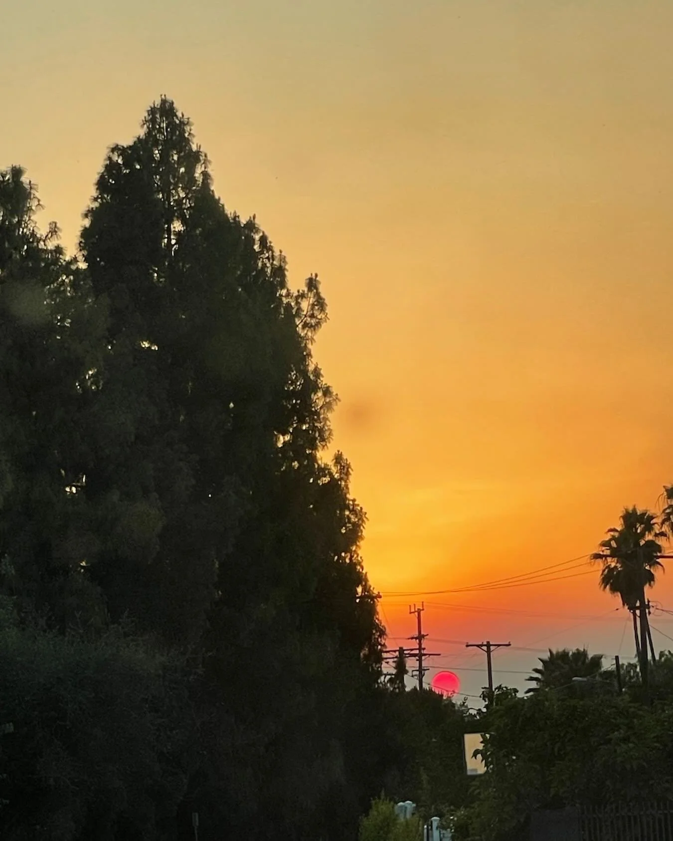 Bloody sunset, the Sandy Fire.