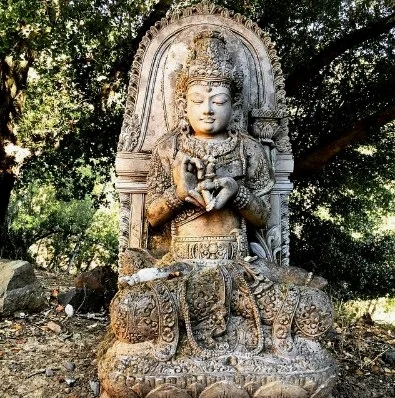 Monday Women's Sangha - SF Insight
