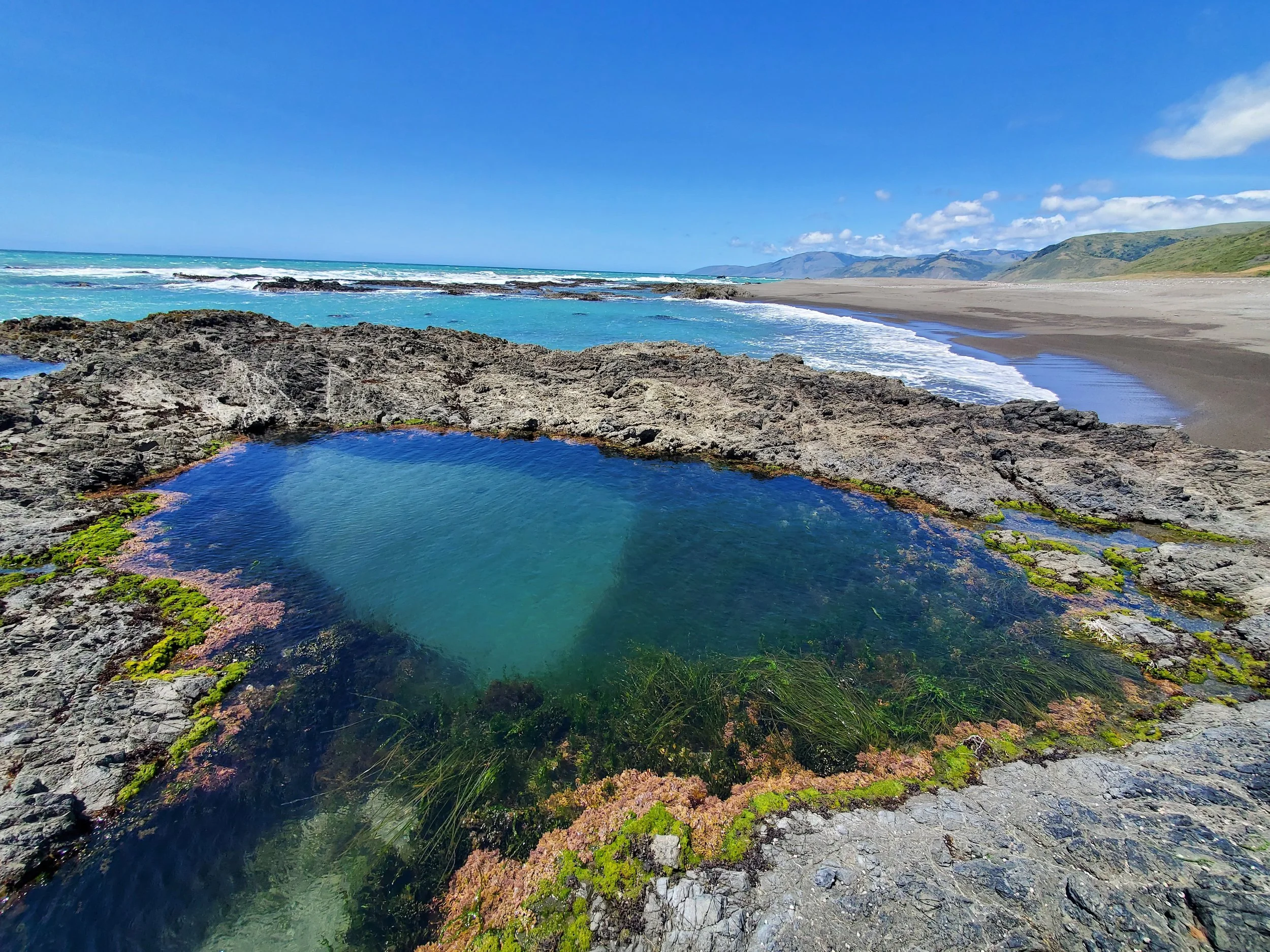 Tide pool.jpg