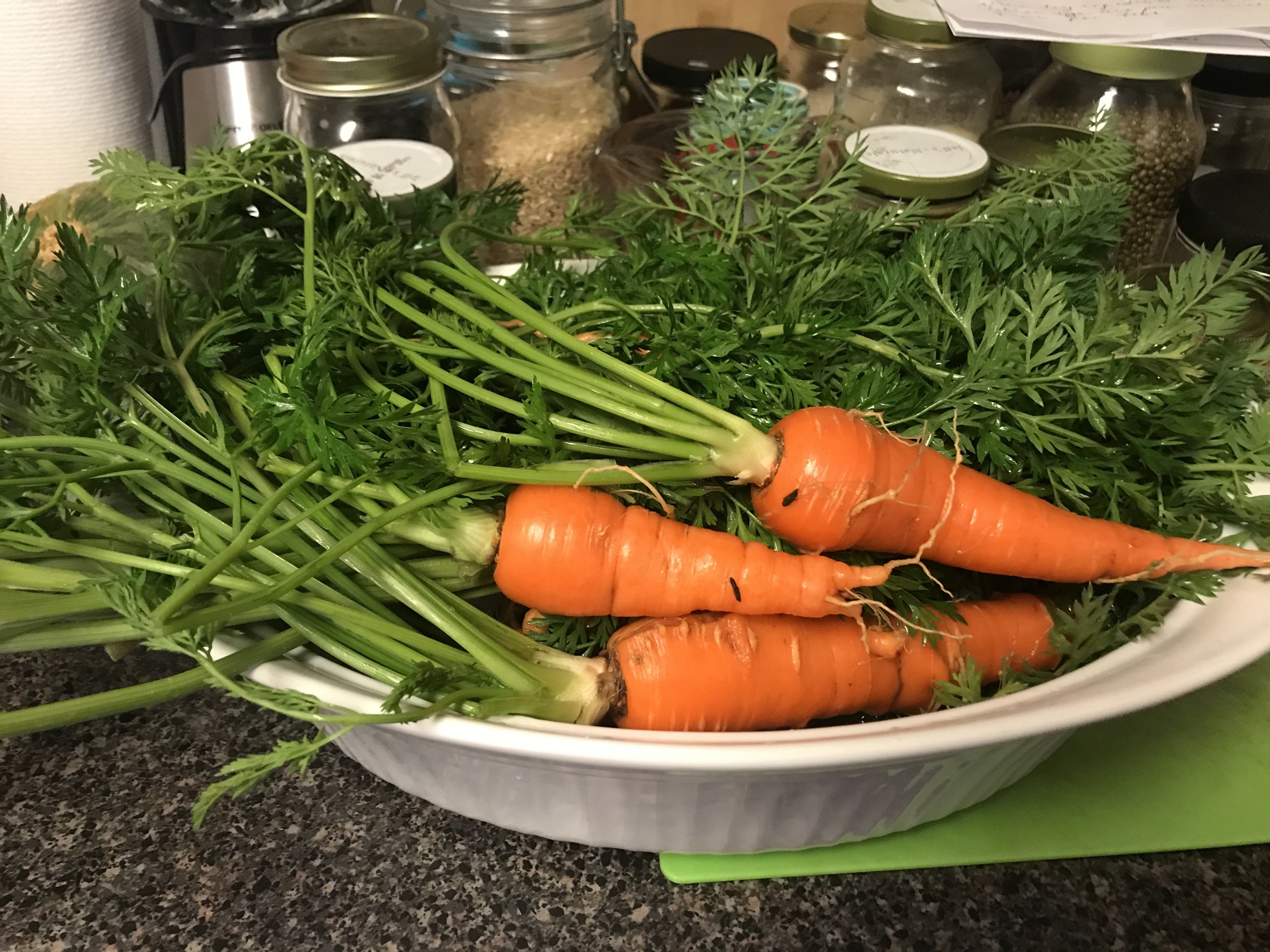 carrots 2.jpg