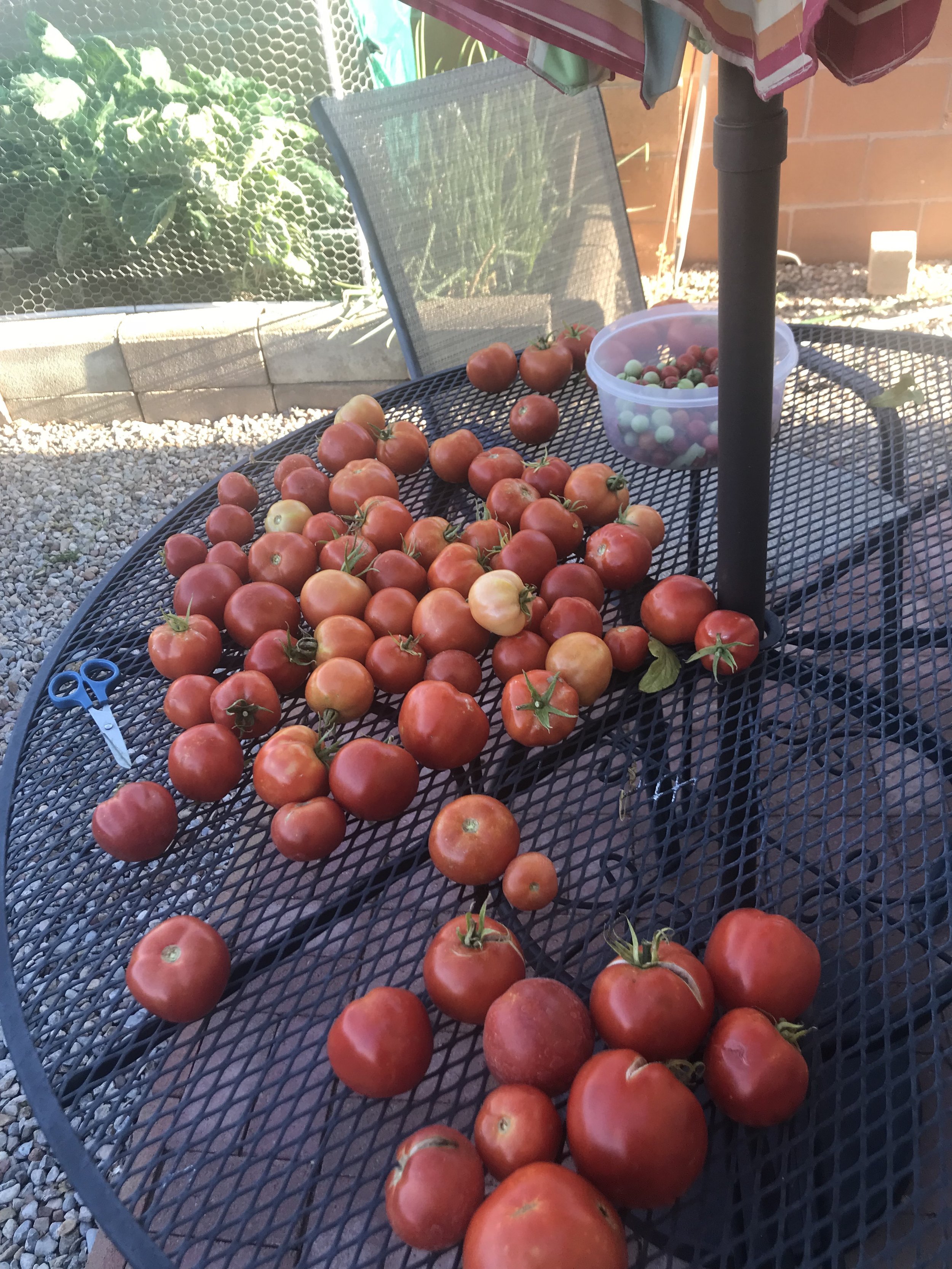 FromGarden-Tomatoes.jpg