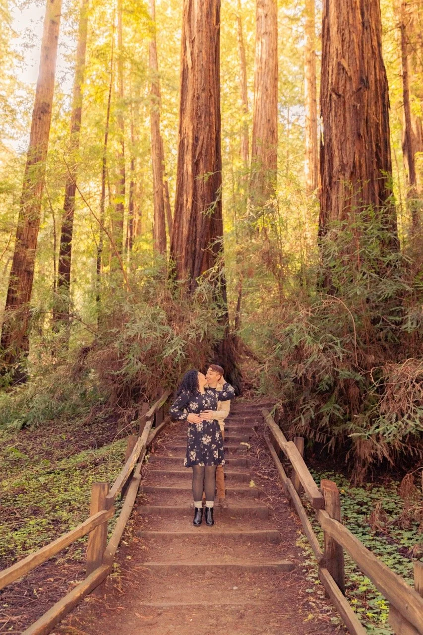 tomminesau-2226 Large.jpeg