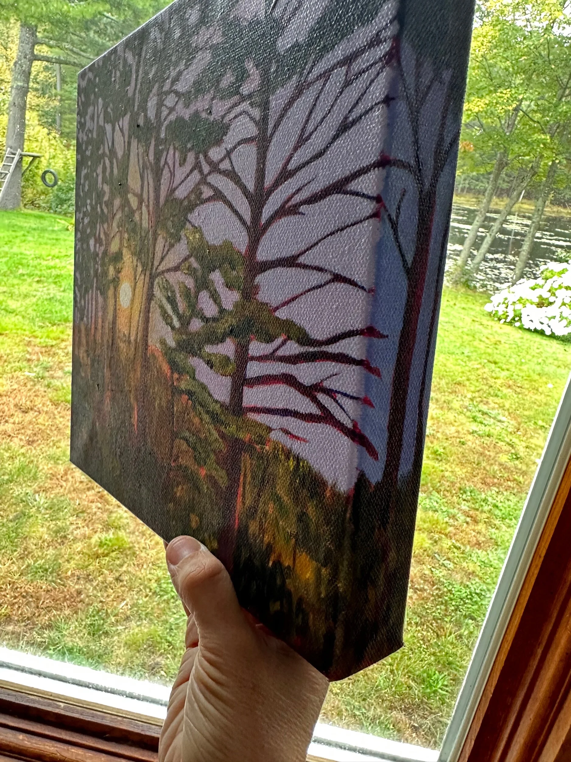 B1E38930-DA30-483F-9AEE-992FCE09D4E0