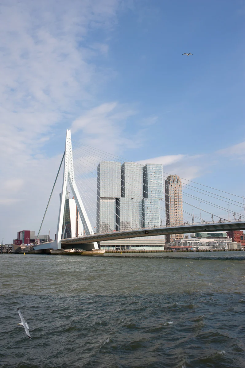 Rotterdam_City guide_Bord de Meuse_Vue de la ville 4.jpg