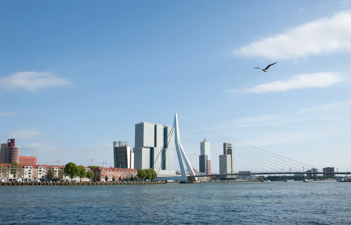 Rotterdam_City guide_Bord de Meuse_Vue de la ville 3.jpg