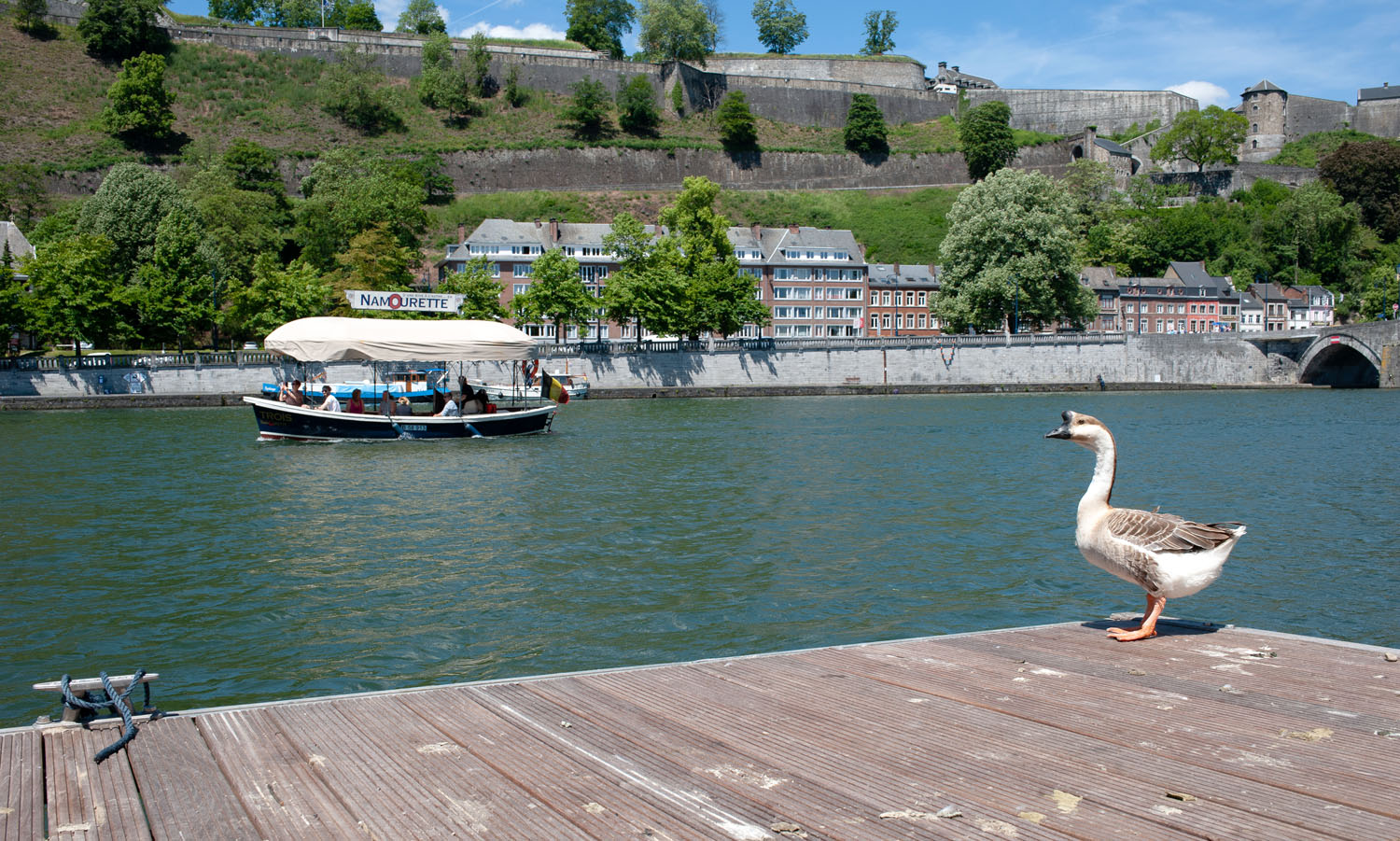 Namur_1MOIS_1VILLE_Vue de Jambes 9.jpg