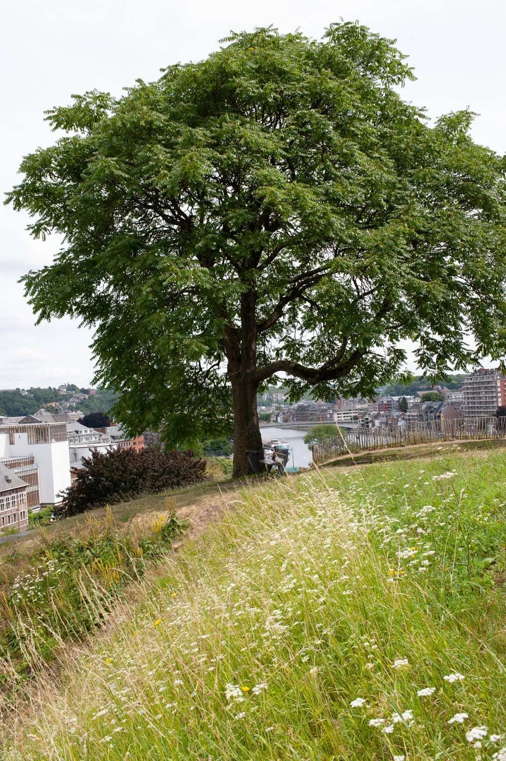 Namur_1MOIS_1VILLE_Citadelle 5.jpg