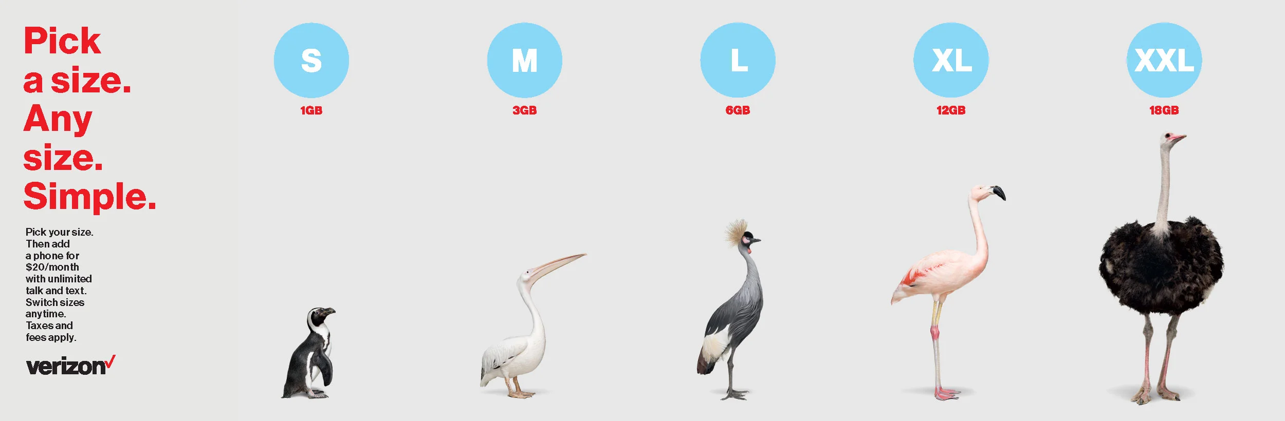 Verizon_Pricing_Birds_by_Randal_Ford.jpg