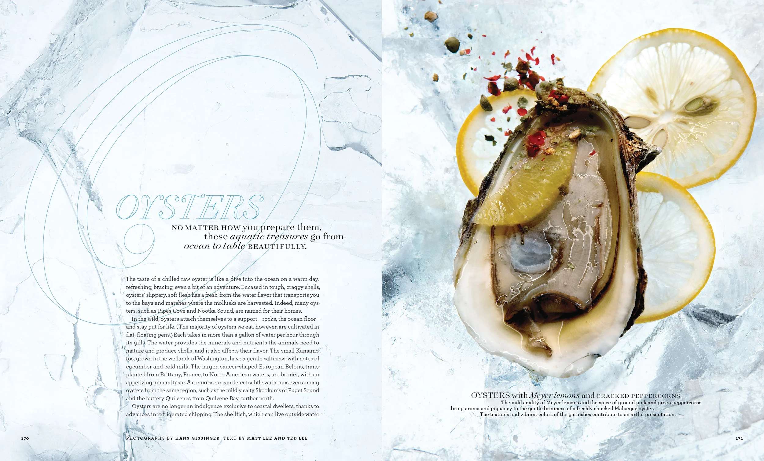 Oysters_L1206WELAFR_5356;31+copy.jpg