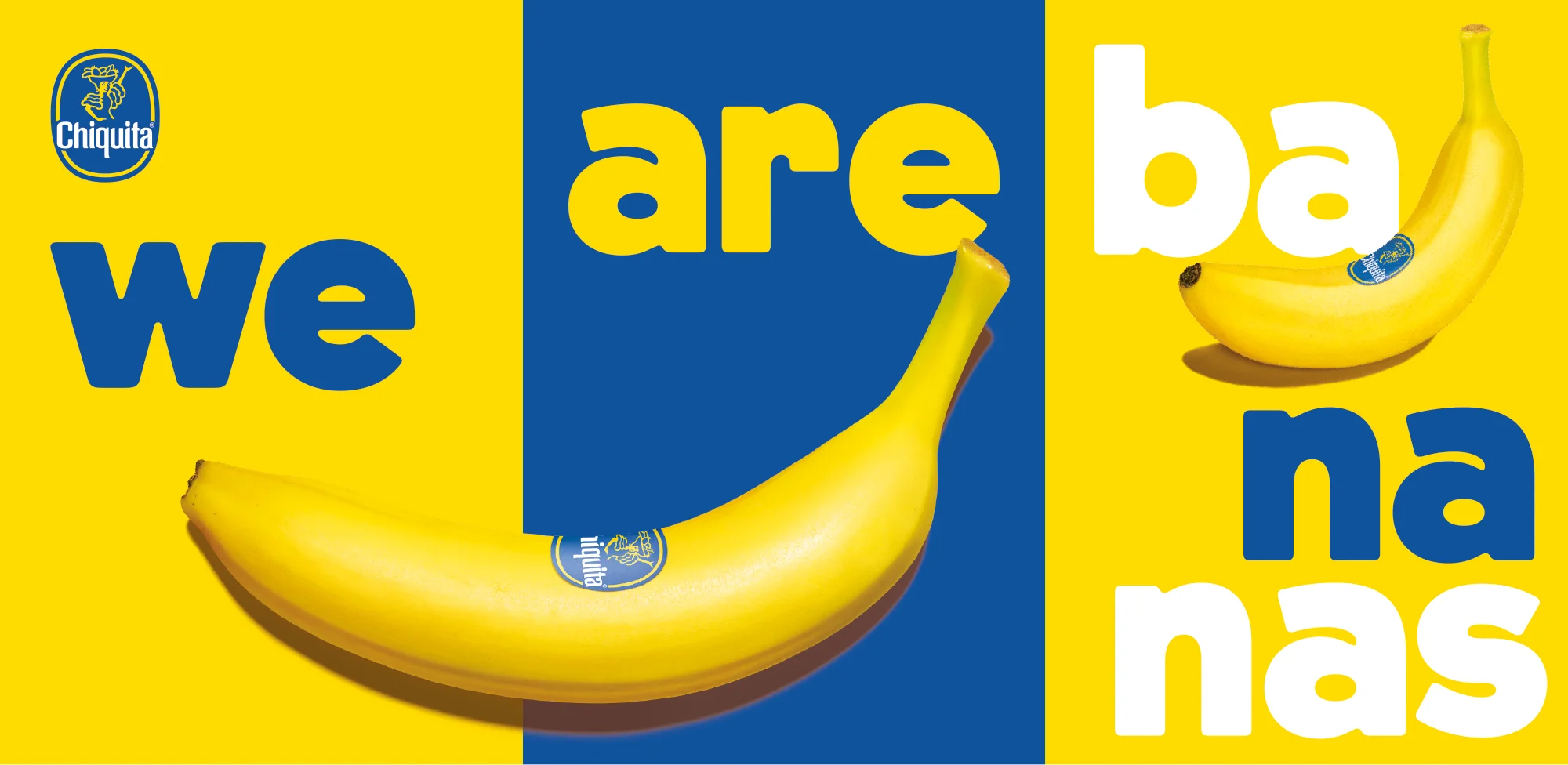 Chiquita-3.jpg