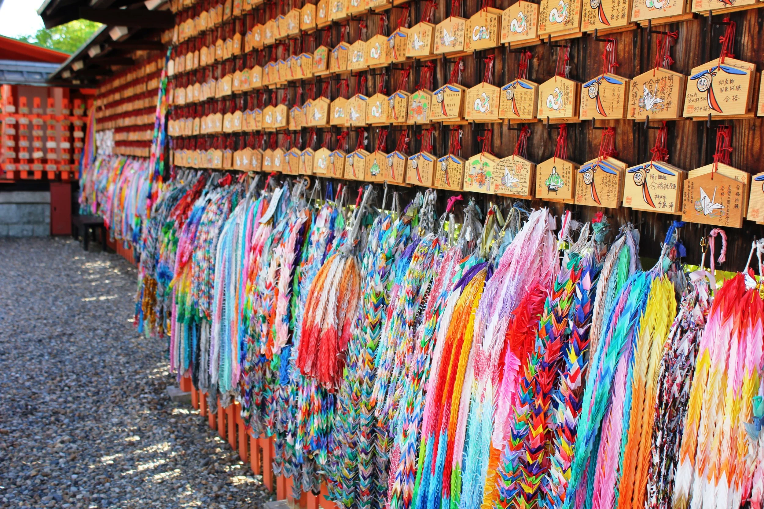  Vibrant colours  