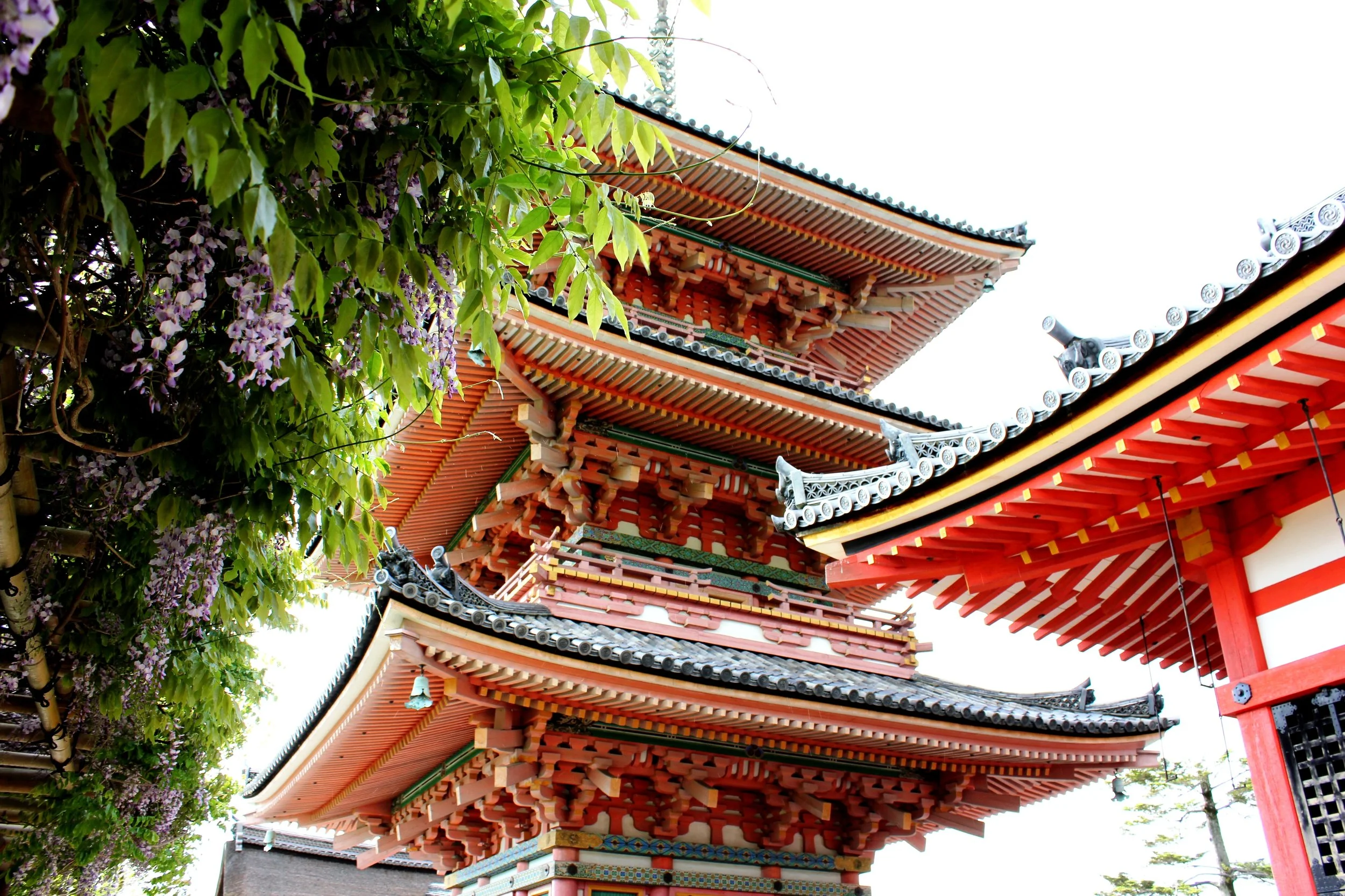  Living in harmony with our environment 