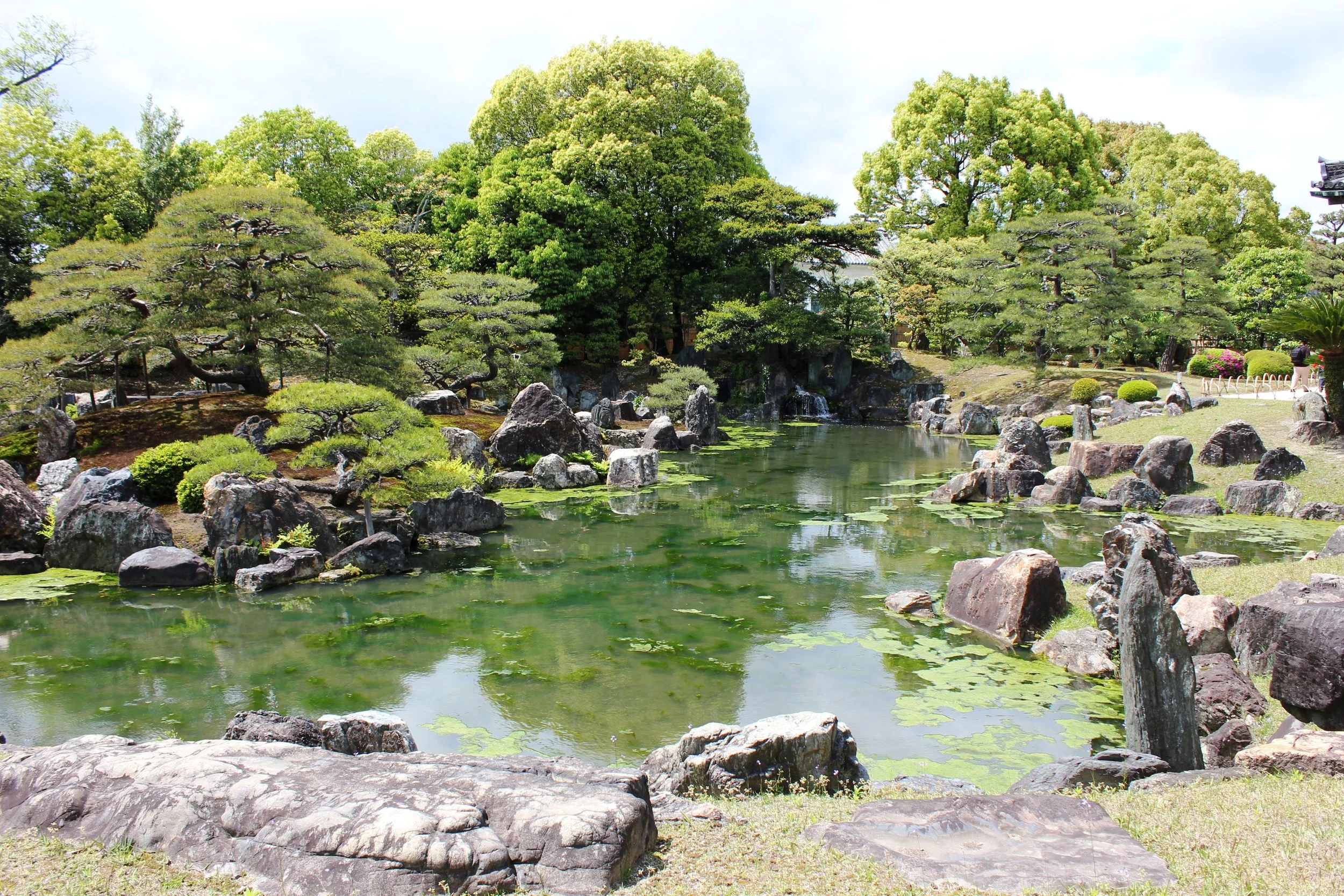  Human-created environments thrive best when incorporating the specific ecologies of the place they subsist in.  