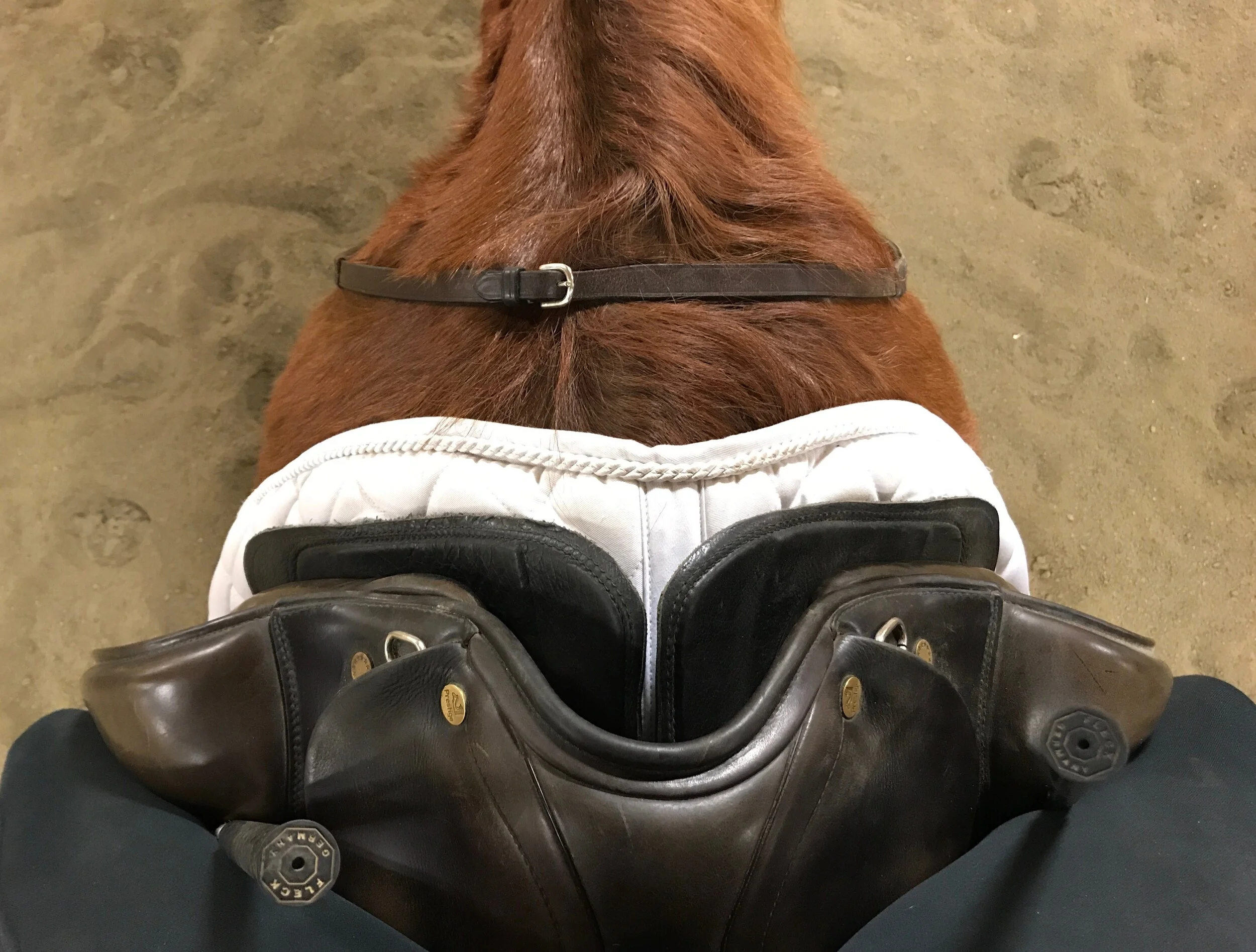Bozeman Dressage Society Fix-a-Test