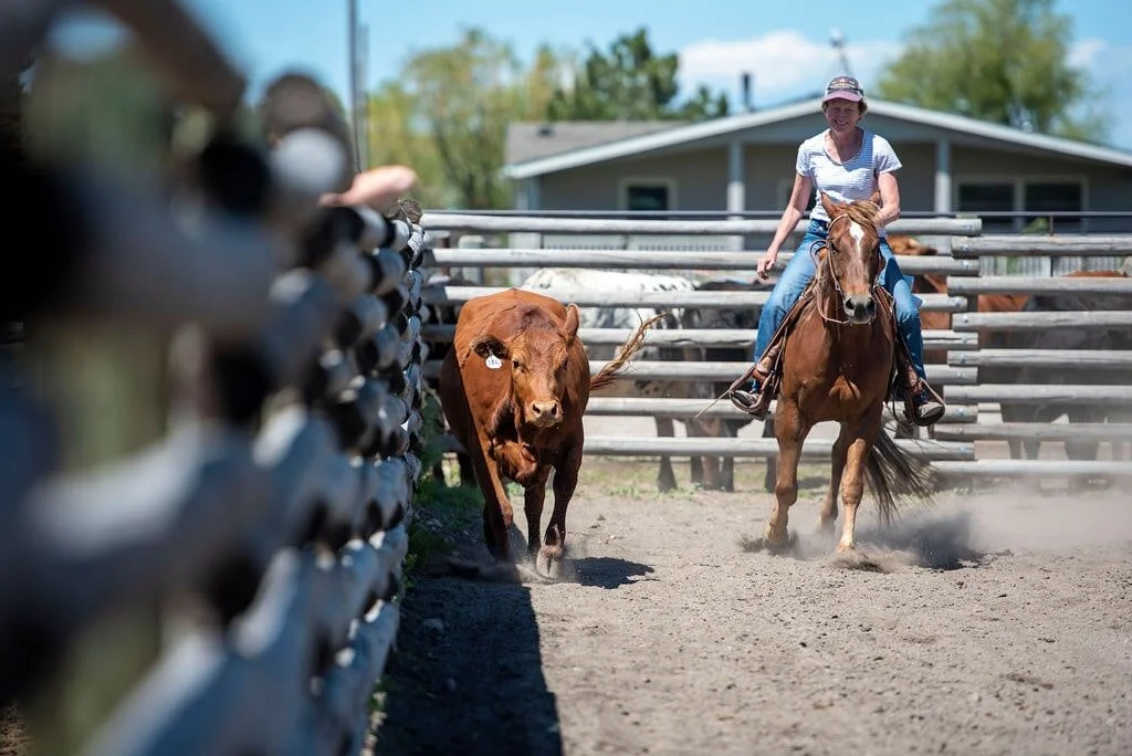 Services — Holloway's Pretty Good Horse Barn