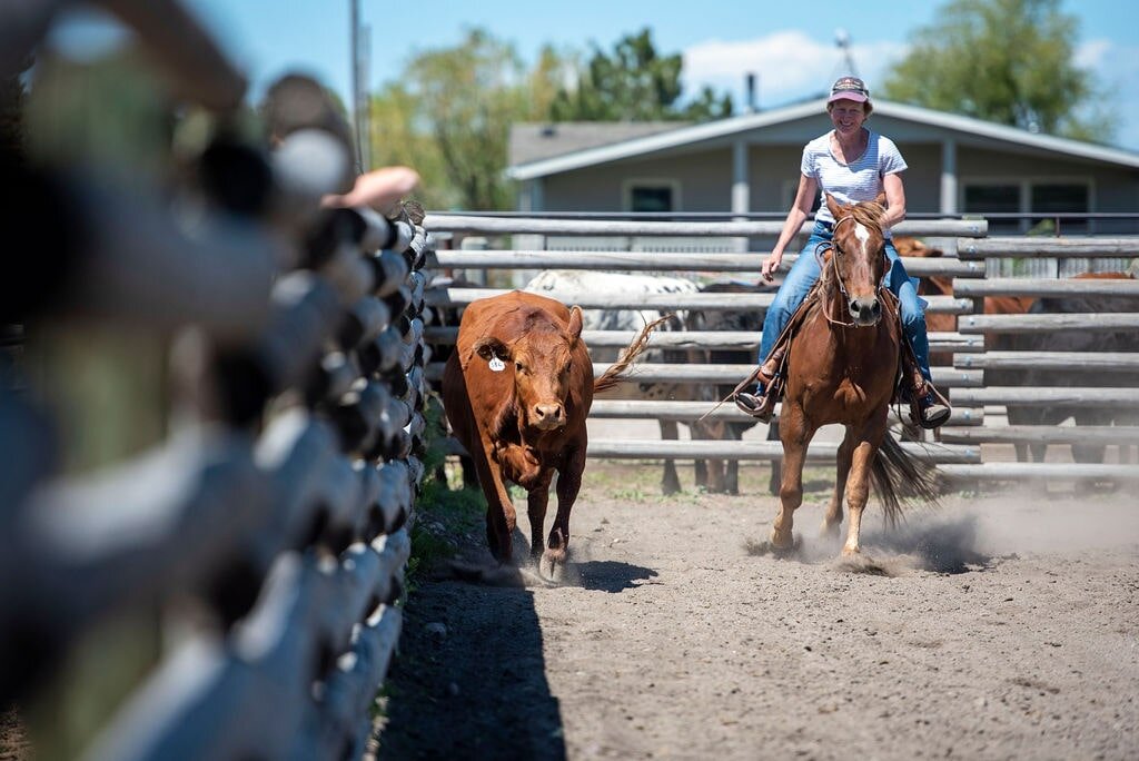 Services — Holloway's Pretty Good Horse Barn