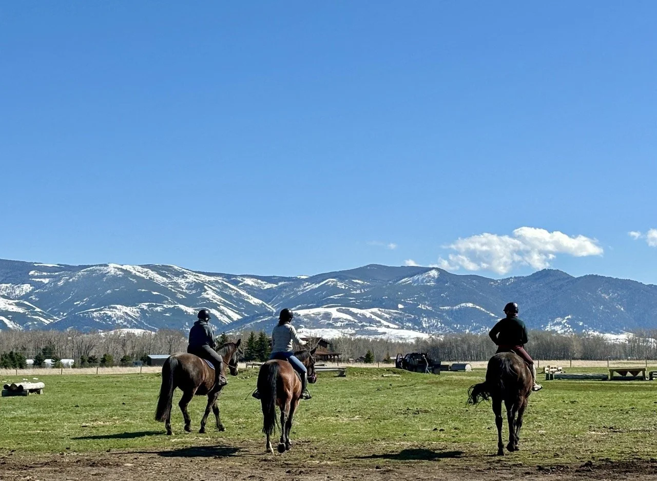 IMG_1717 2 Large.jpeg