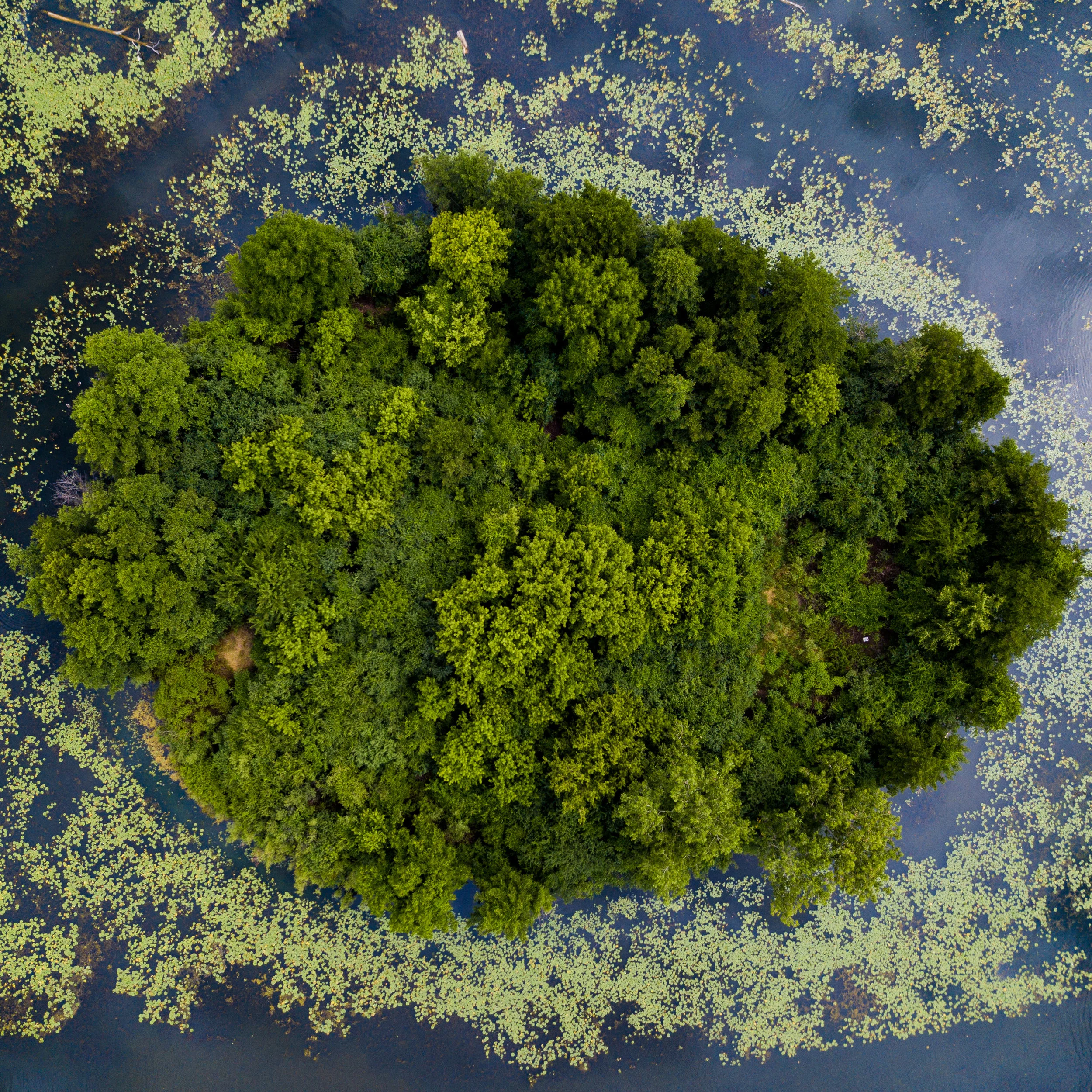 Drone-Website-3.jpg