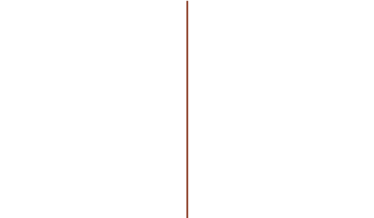 EV_BROWNLINNE-01.png