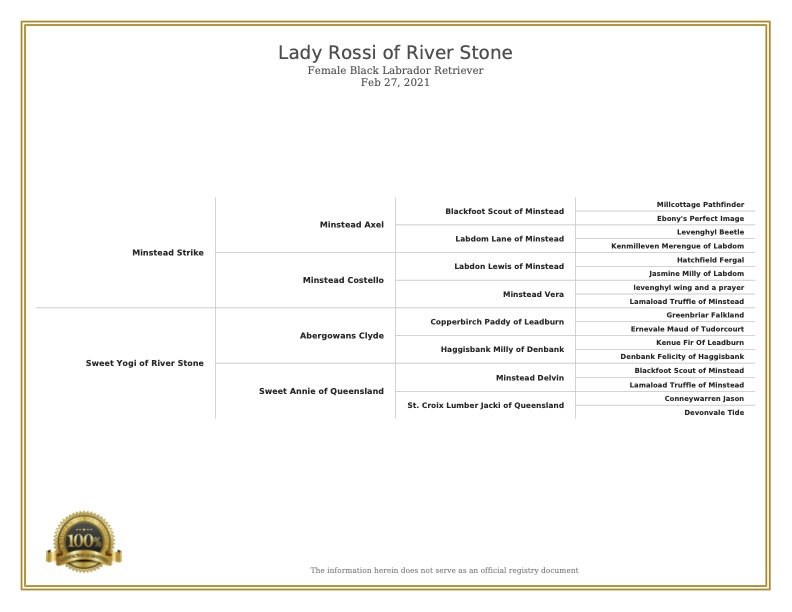 lady-rossi-of-river-stone.jpg