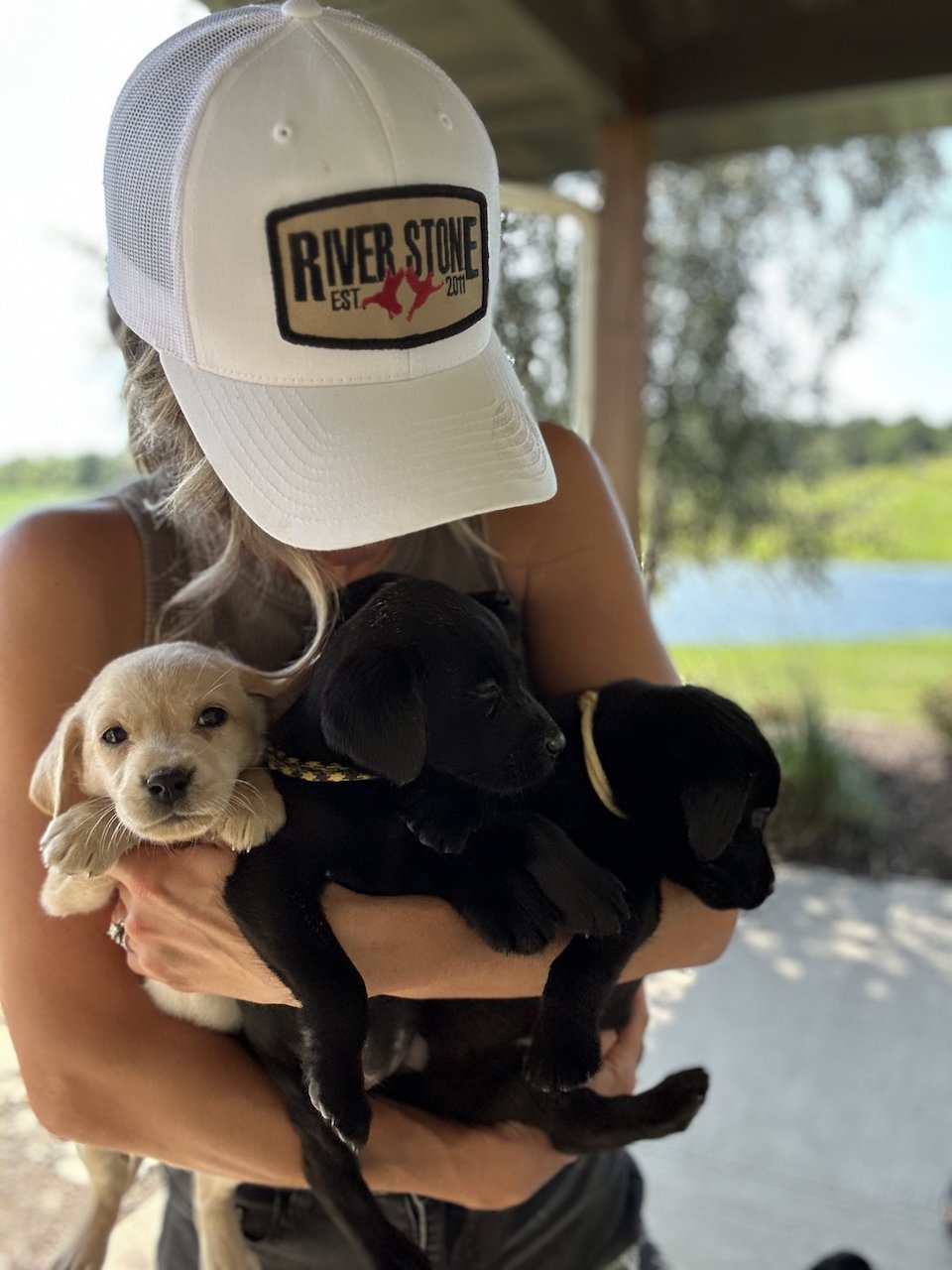 Whit and pups.jpg