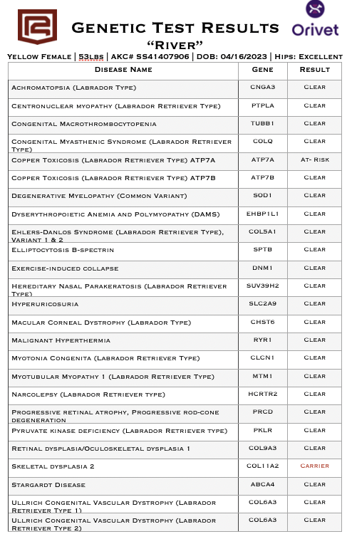 Screenshot 2026-10-06 at 9.42.25 AM.png