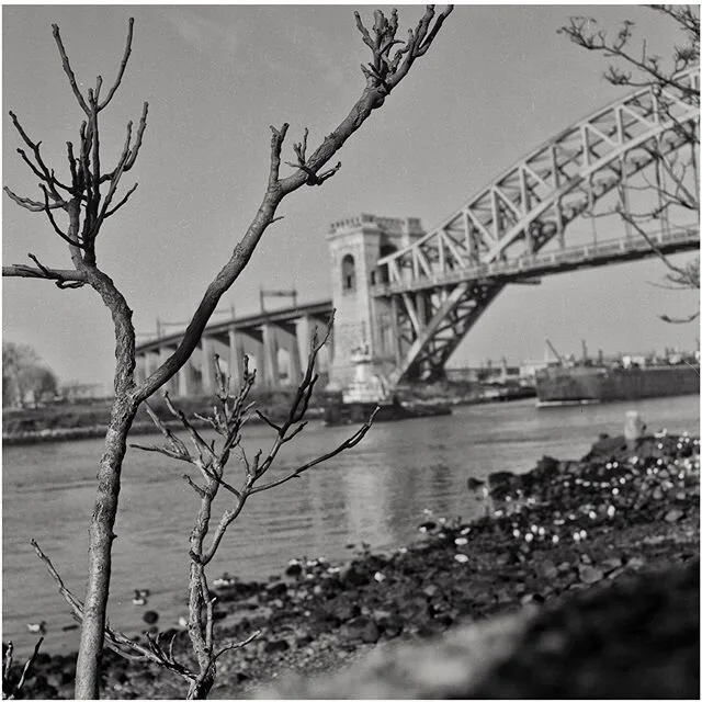 The Hell Gate / Astoria Park, Queens. (film)
.
.
.
#blackandwhitephotography #bnwphotography #bnw #bnw_captures #bnw_mycitylife #mediumformat #mediumformatphotography #mamiyac330 #ig_captures #ig_bnw #ig_nycity #film #filmphotography #staybrokeshootf