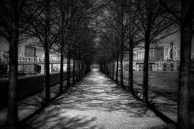 &bull;~&bull; [/\] &bull;~&bull; .
#blackandwhitephotography #blackandwhite #photography #bnwphotography #bnw #bnw_captures #bnwmood #bnw_greatshots #bnwphoto #bnw_dream #sonyalpha #what_i_saw_in_nyc #nyc #rooseveltisland #newyorkcity #streetphotogra