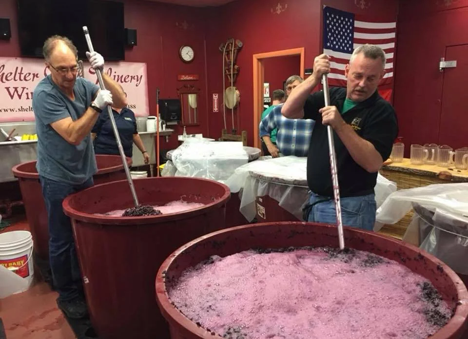 How is wine made Wine making process Make Your Own Wine in Danbury