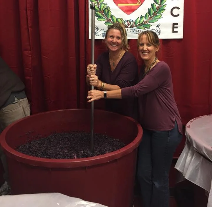 How is wine made Wine making process Make Your Own Wine in Danbury
