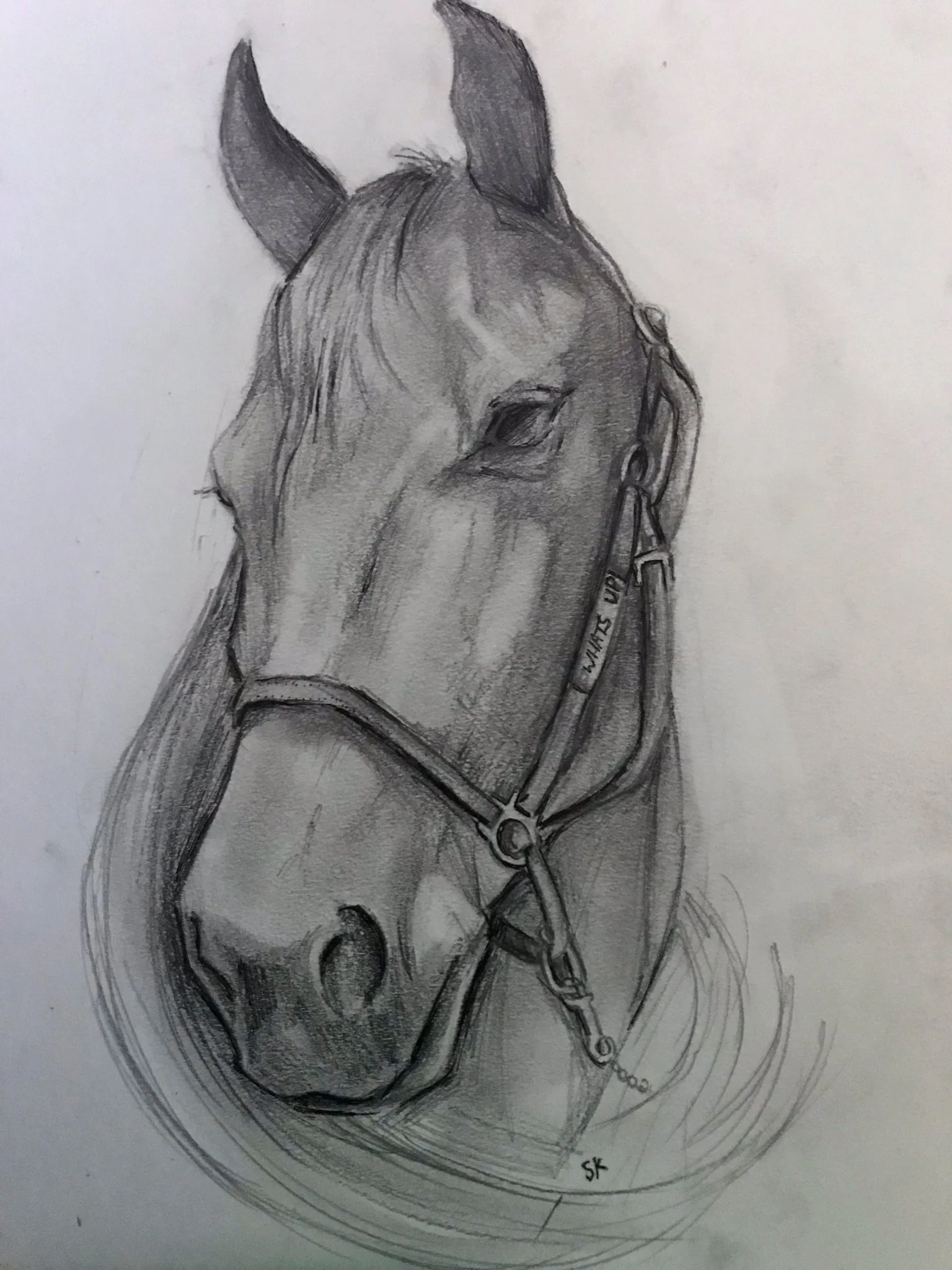 Equestrian