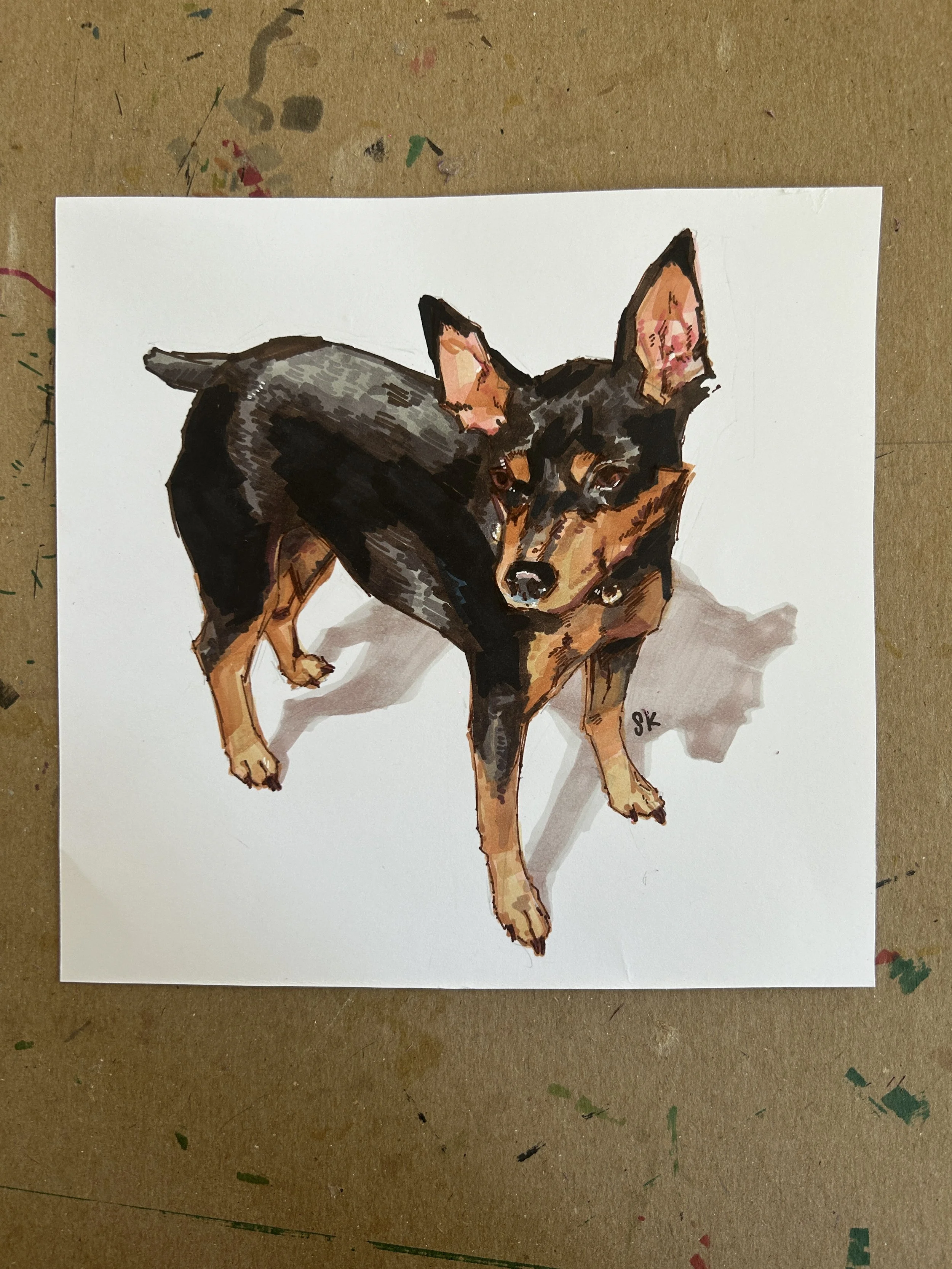 Dog