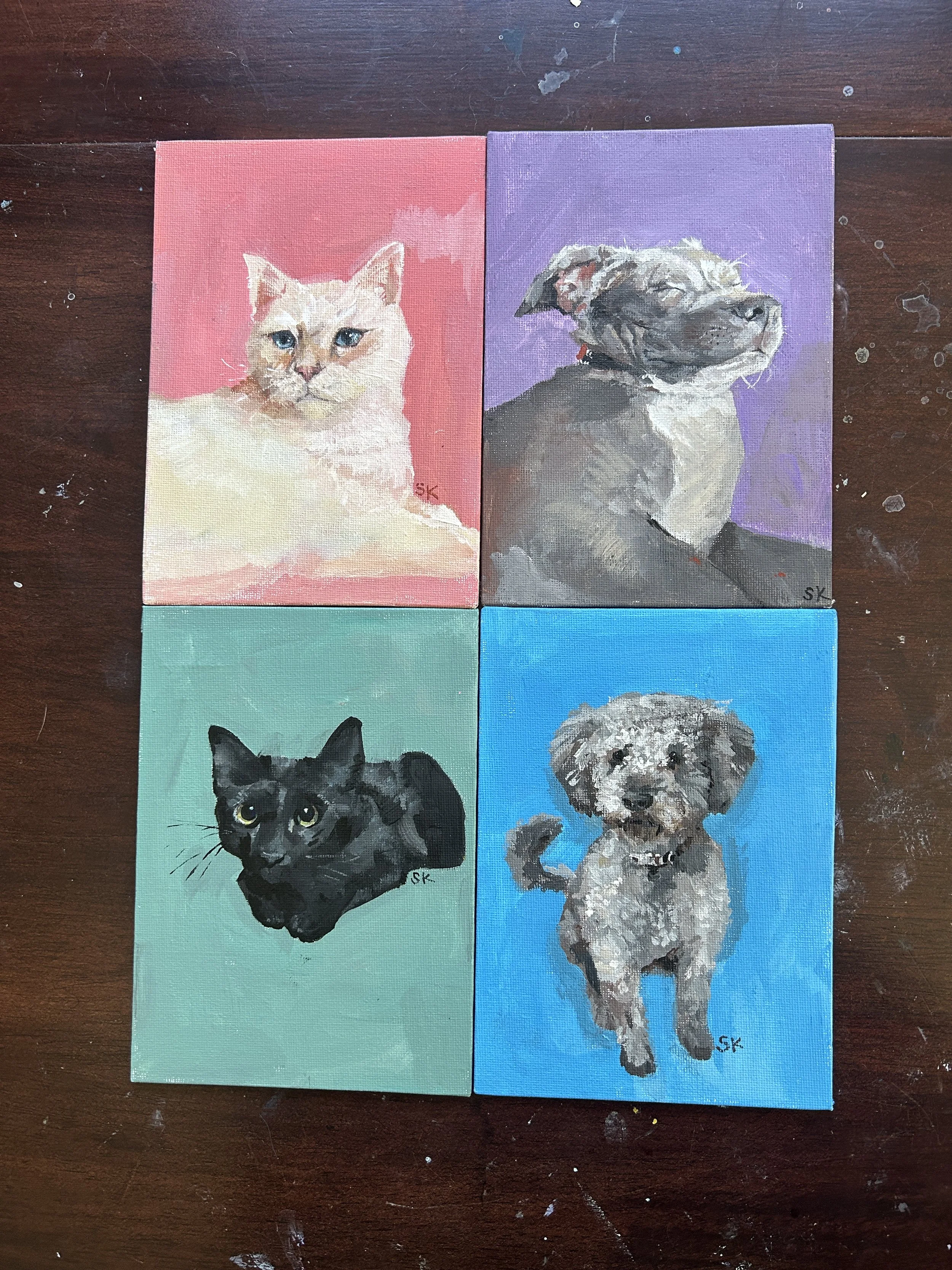 Snow, Kiwi, Momo, Rusty