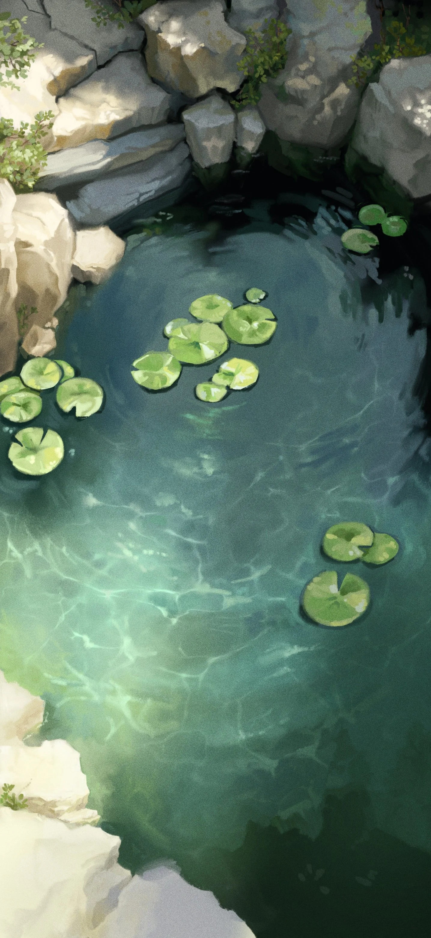 Pond