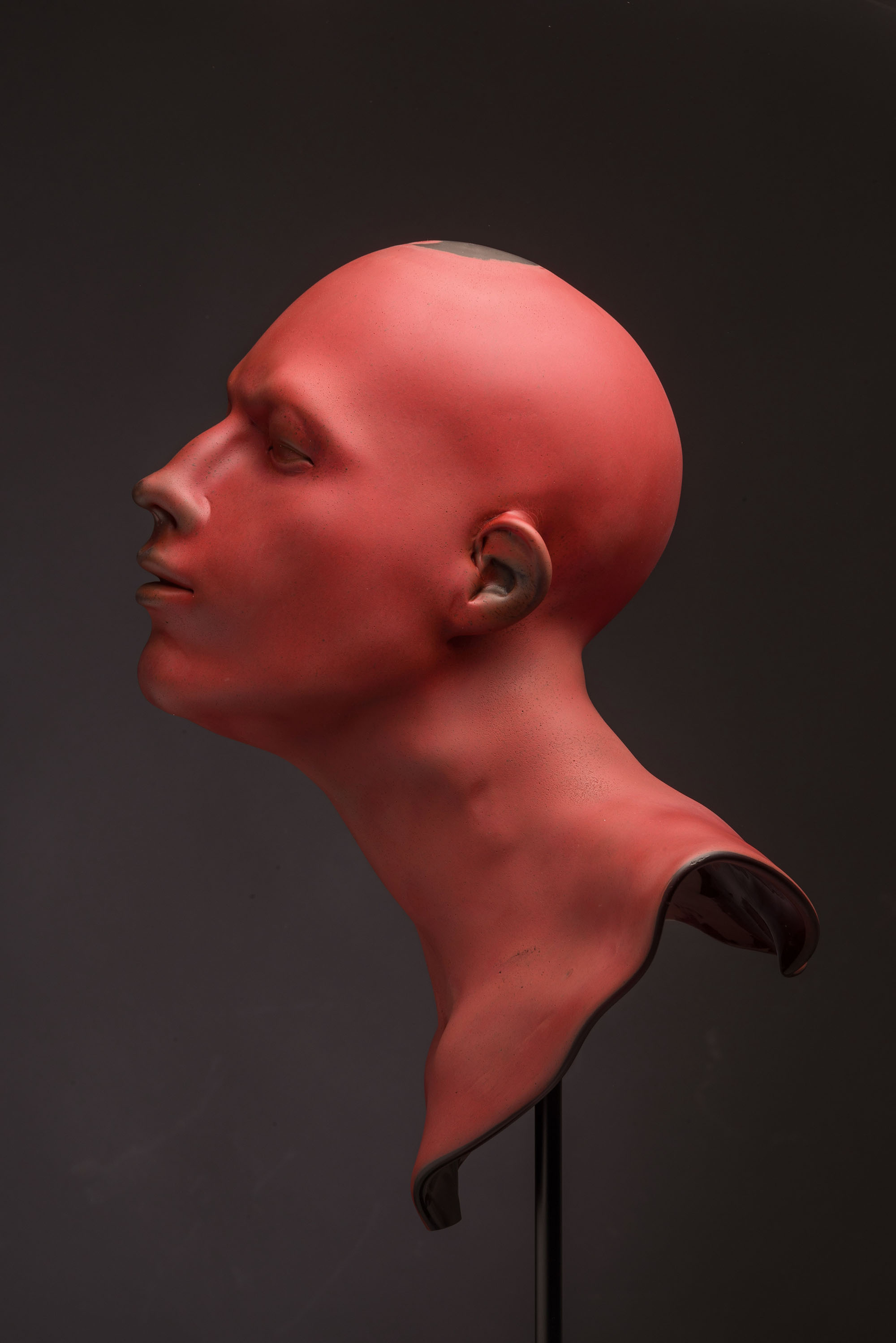 Portrait of a Woman, 2018