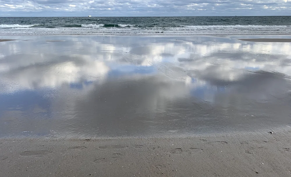 Waimon_Reflection_ Inspiration.jpg