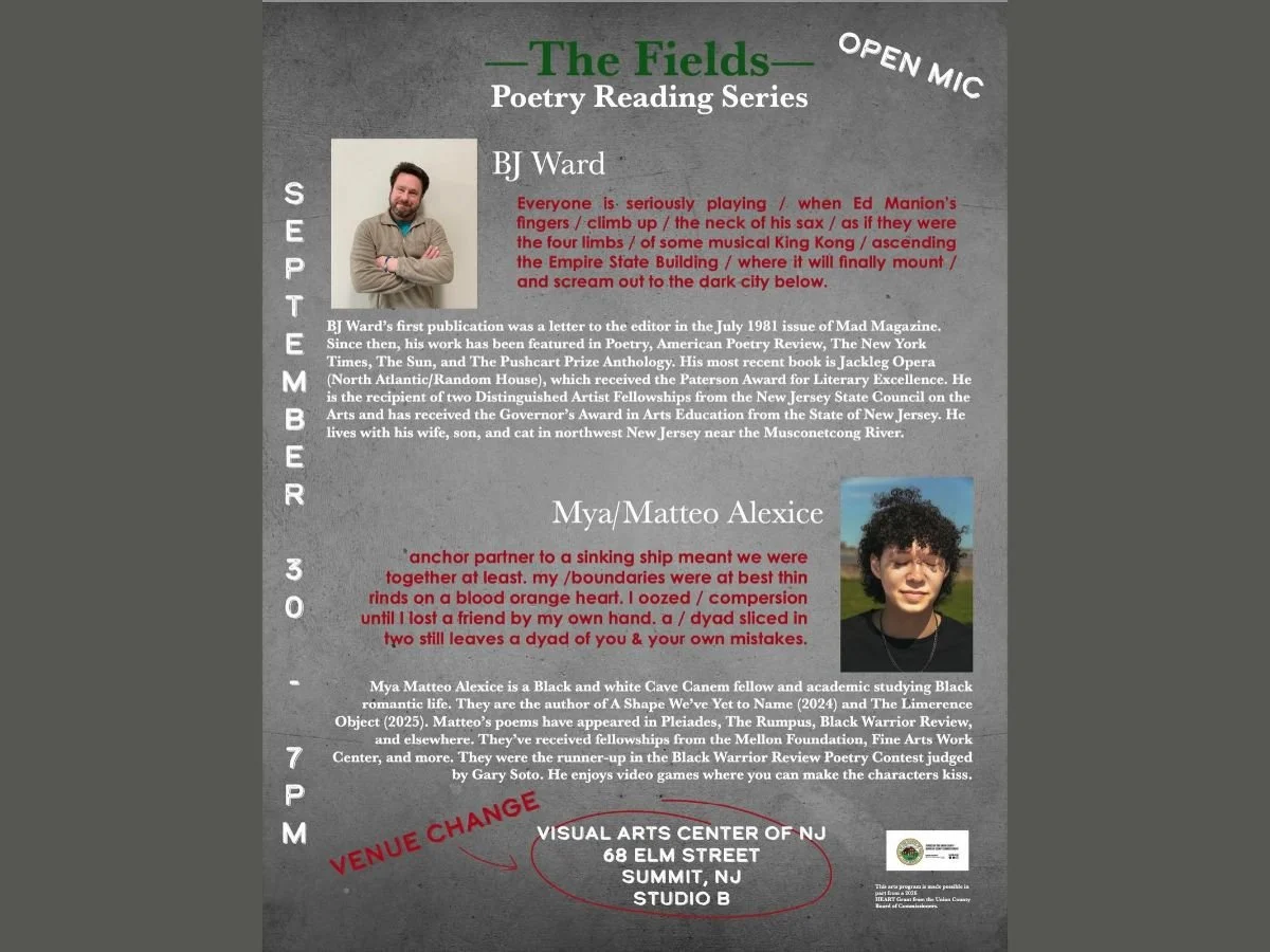 SUMMIT - The Fields Poetry Reading Series