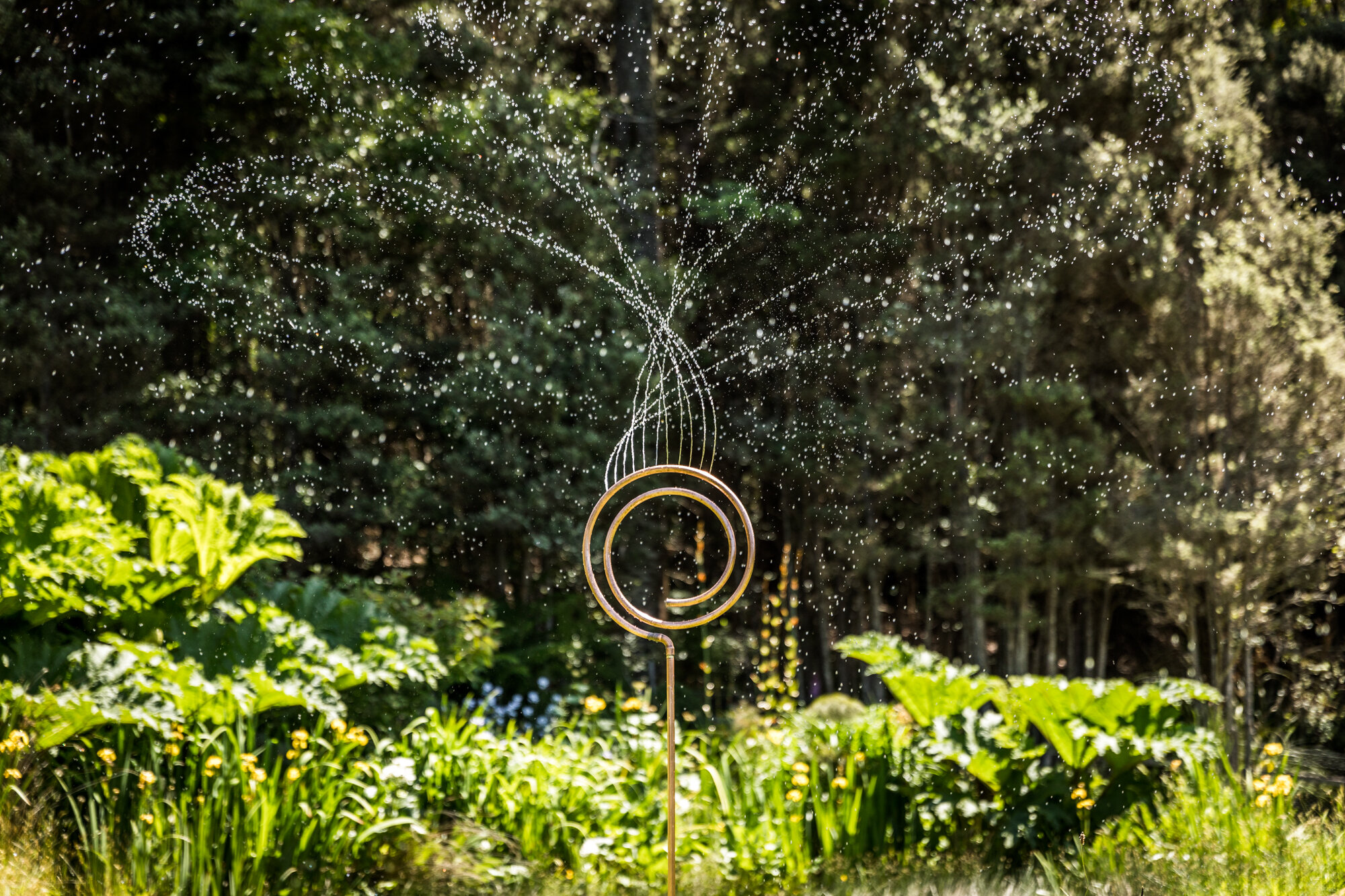 Water-Spirals-2018-natalie-mendham-39.jpg