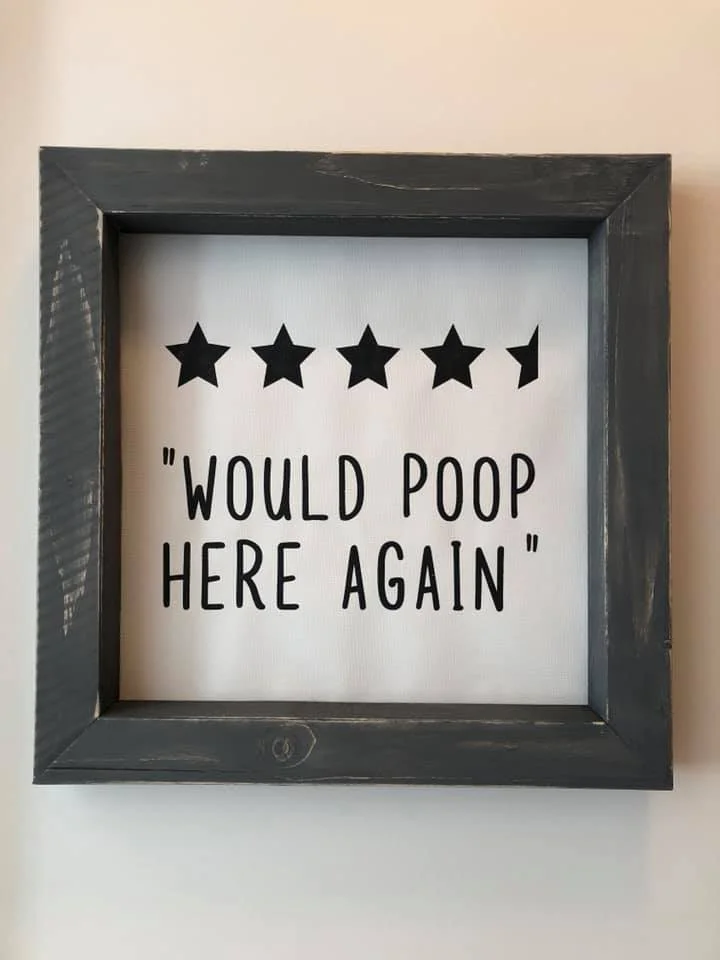 4 1:2 Stars Would poop her again 14x14.jpg