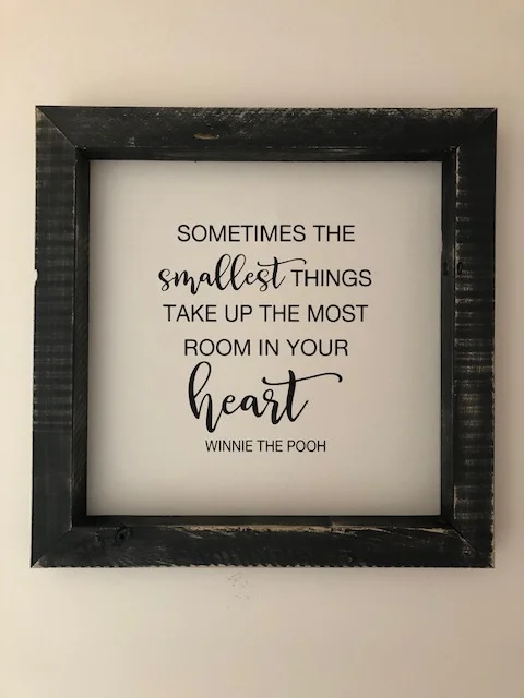 Sometimes the smallest things take up the most room.JPG